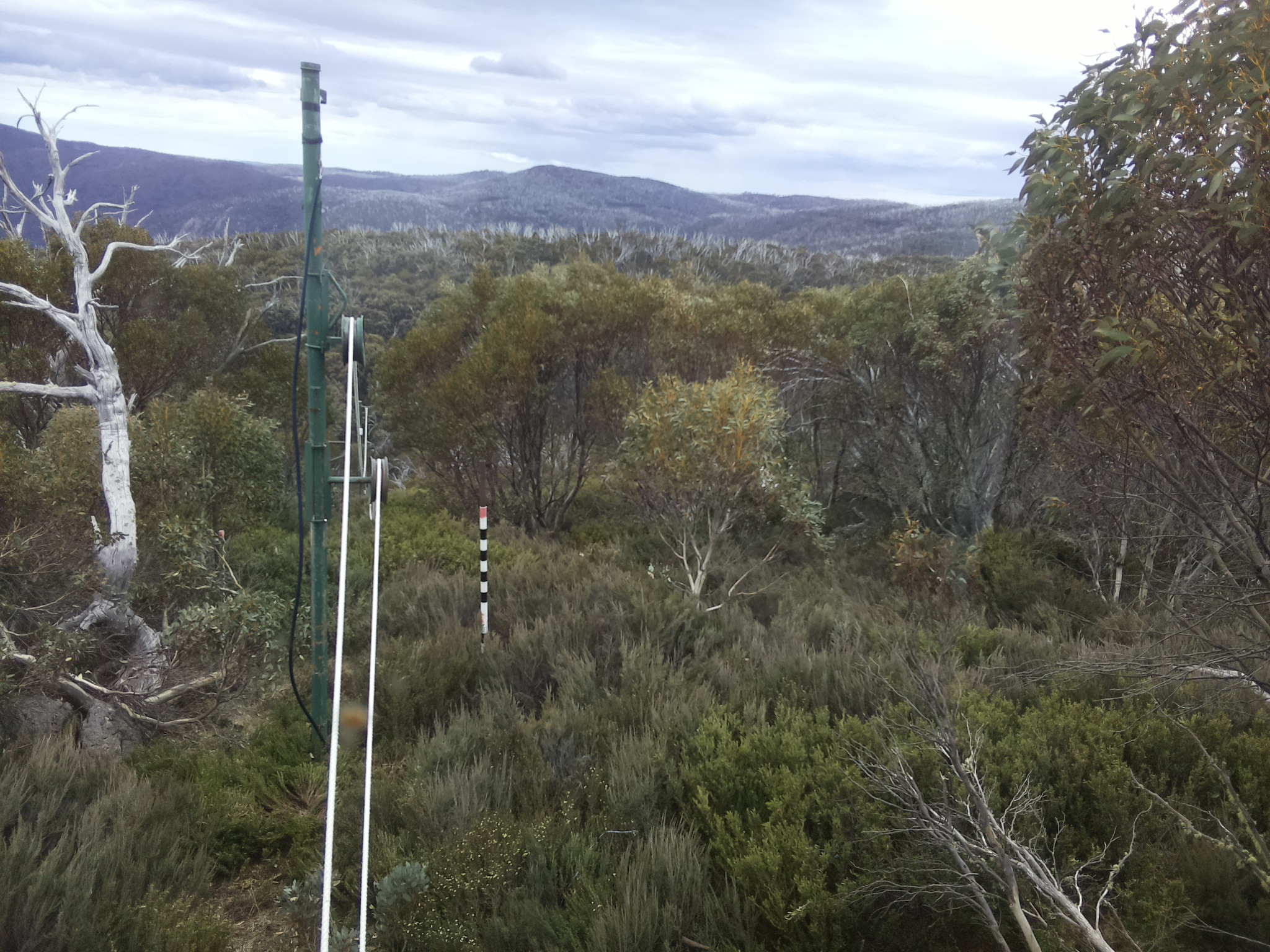 Bogong Web Cam 12:40pm Friday 31st of October 2025