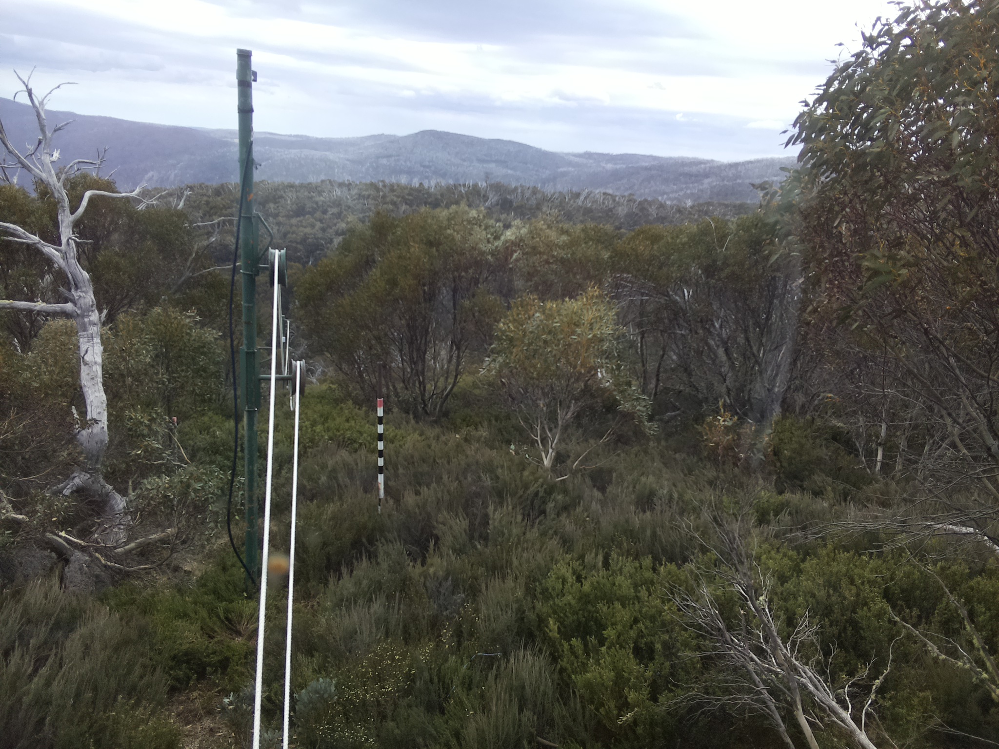 Bogong Web Cam 12:50pm Friday 31st of October 2025