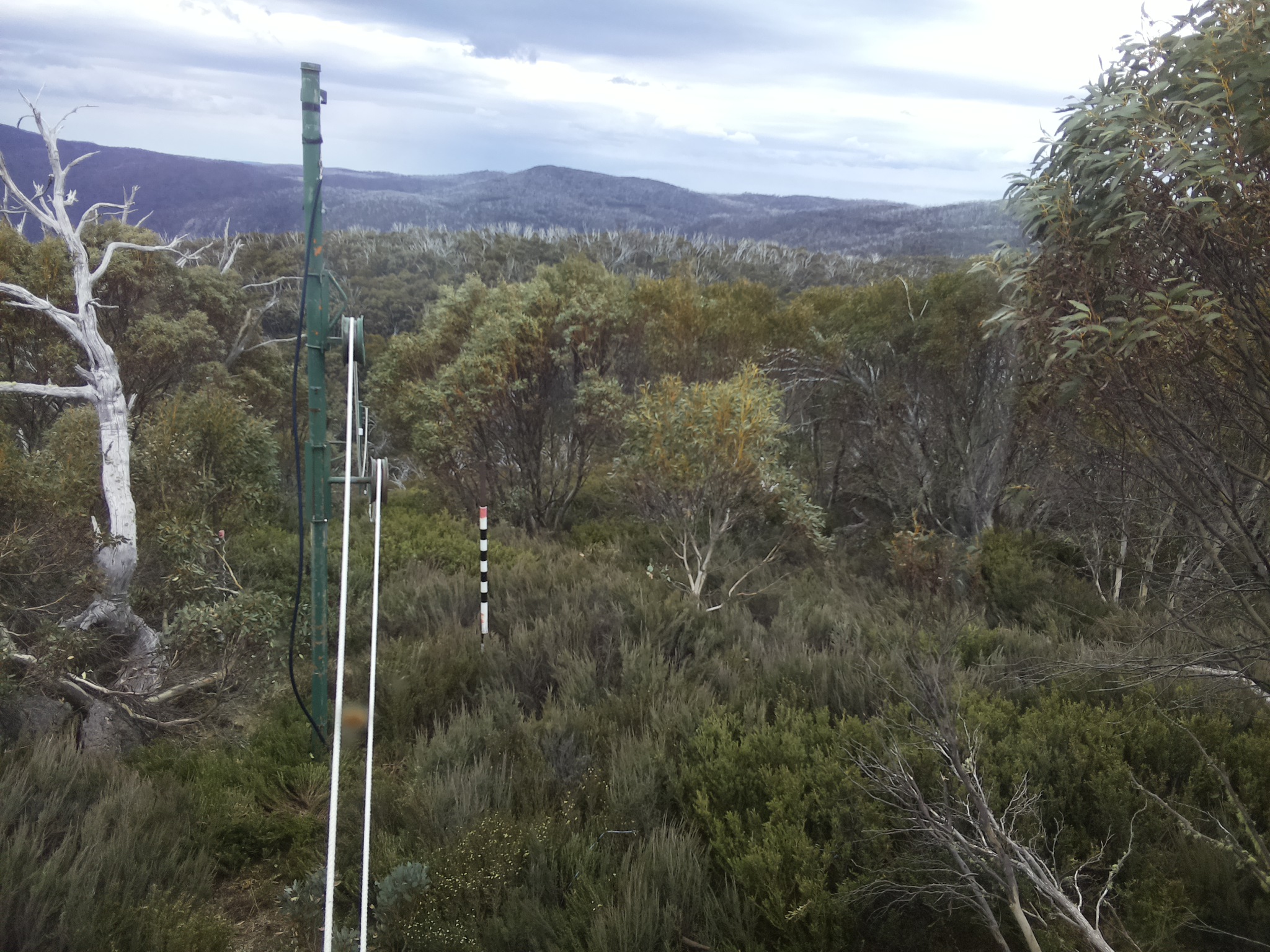 Bogong Web Cam 1:00pm Friday 31st of October 2025