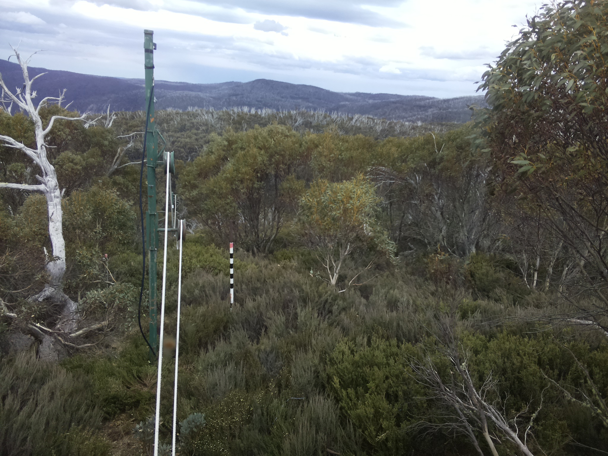 Bogong Web Cam 1:10pm Friday 31st of October 2025