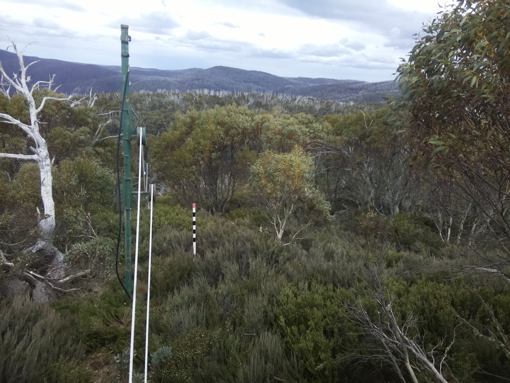 Bogong Web Cam 1:20pm Friday 31st of October 2025