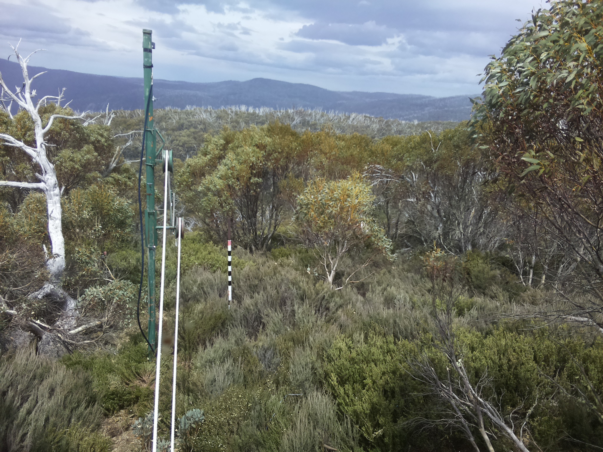 Bogong Web Cam 1:30pm Friday 31st of October 2025