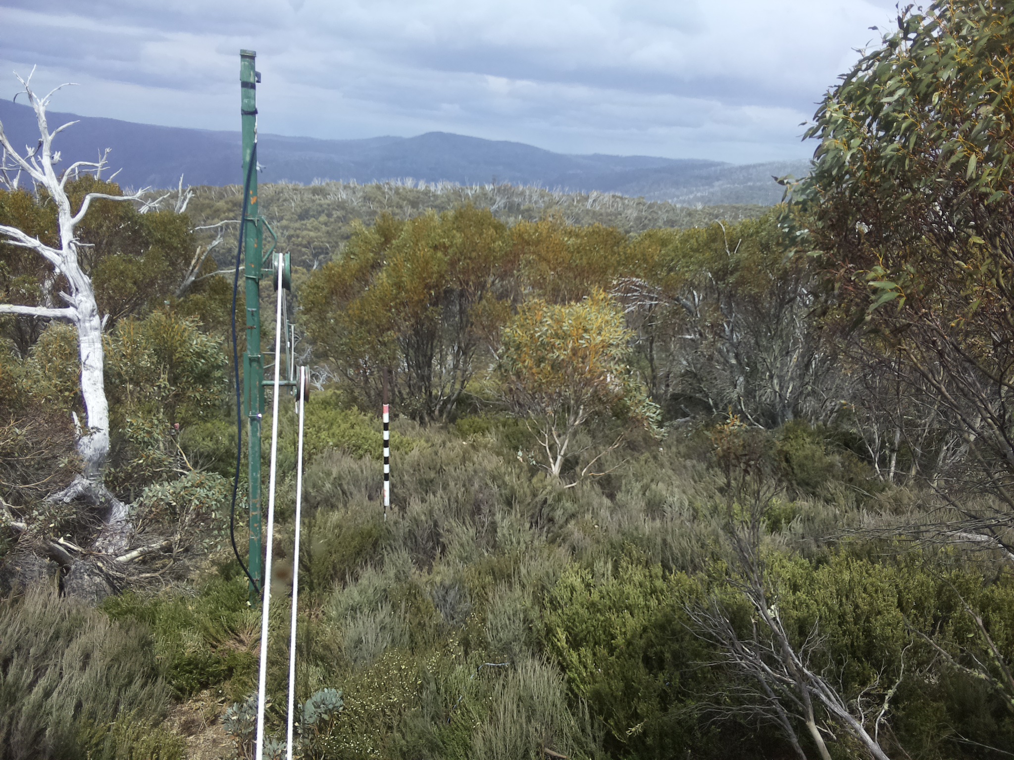 Bogong Web Cam 1:40pm Friday 31st of October 2025