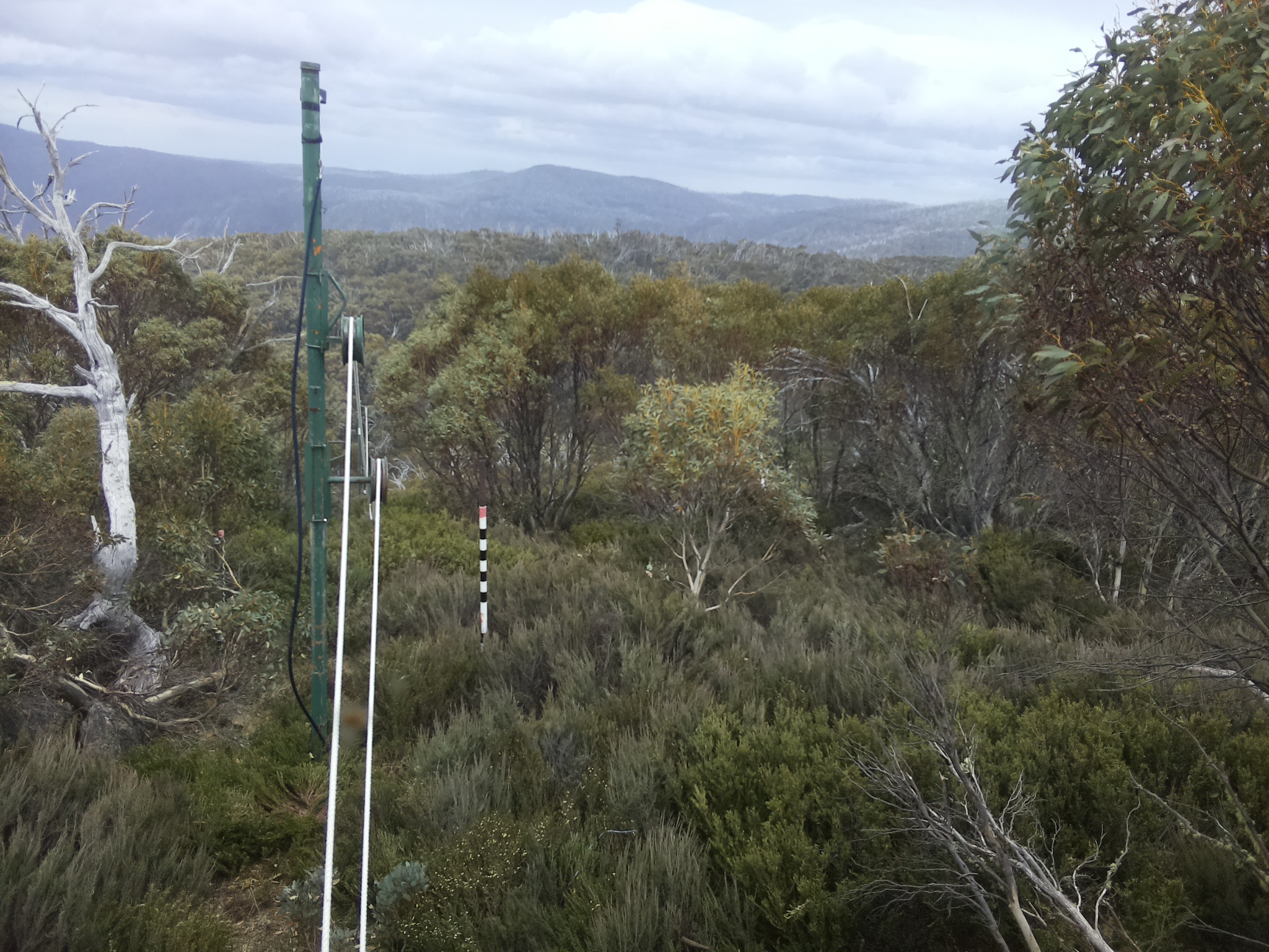 Bogong Web Cam 1:50pm Friday 31st of October 2025