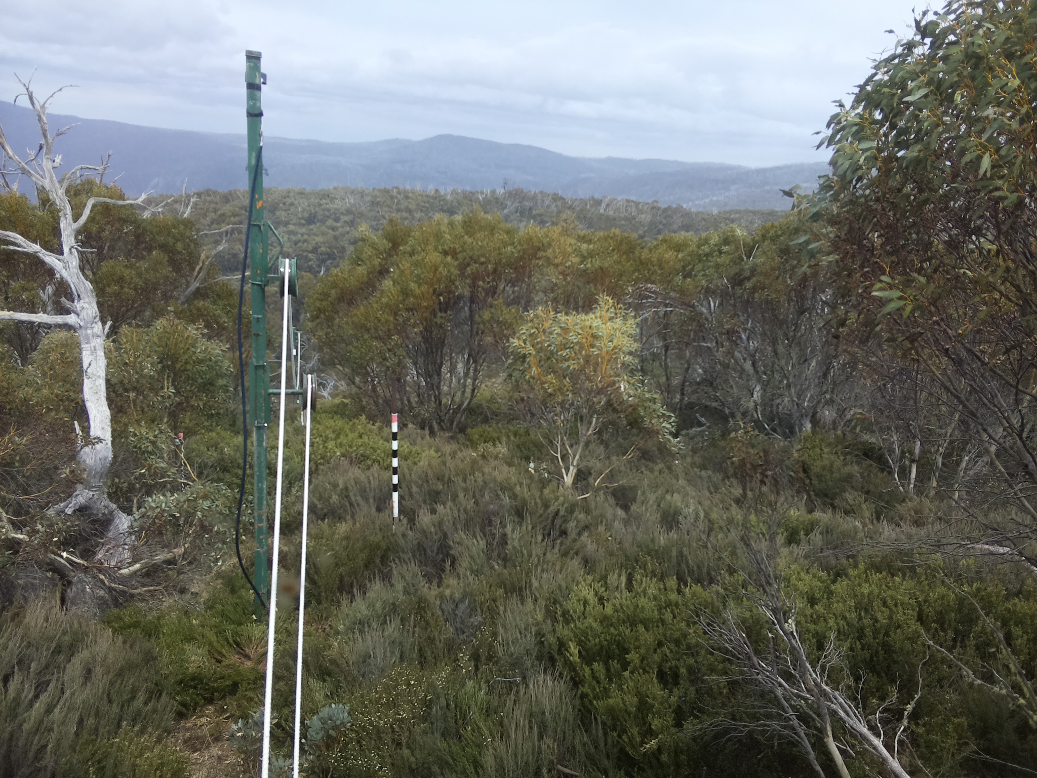 Bogong Web Cam 2:00pm Friday 31st of October 2025