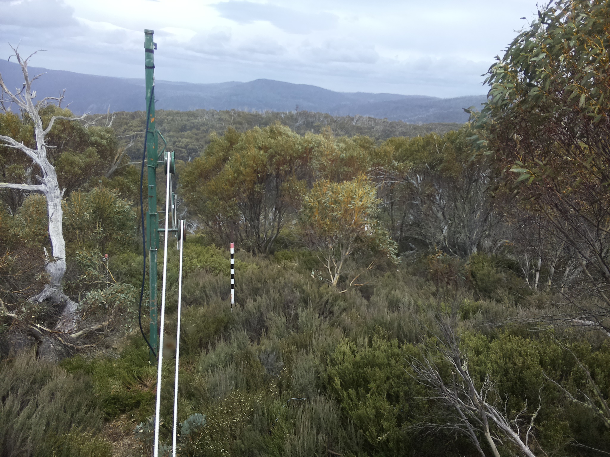 Bogong Web Cam 2:10pm Friday 31st of October 2025
