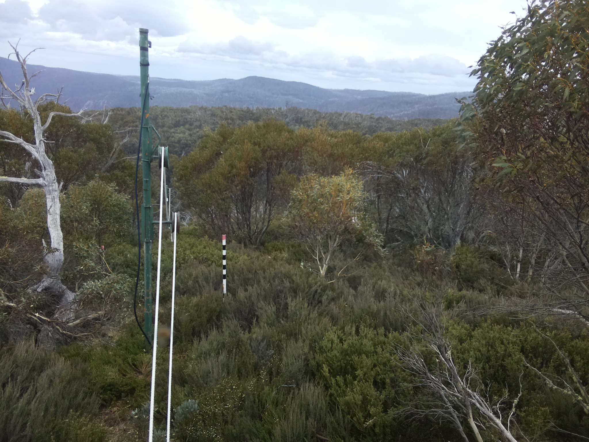 Bogong Web Cam 2:20pm Friday 31st of October 2025