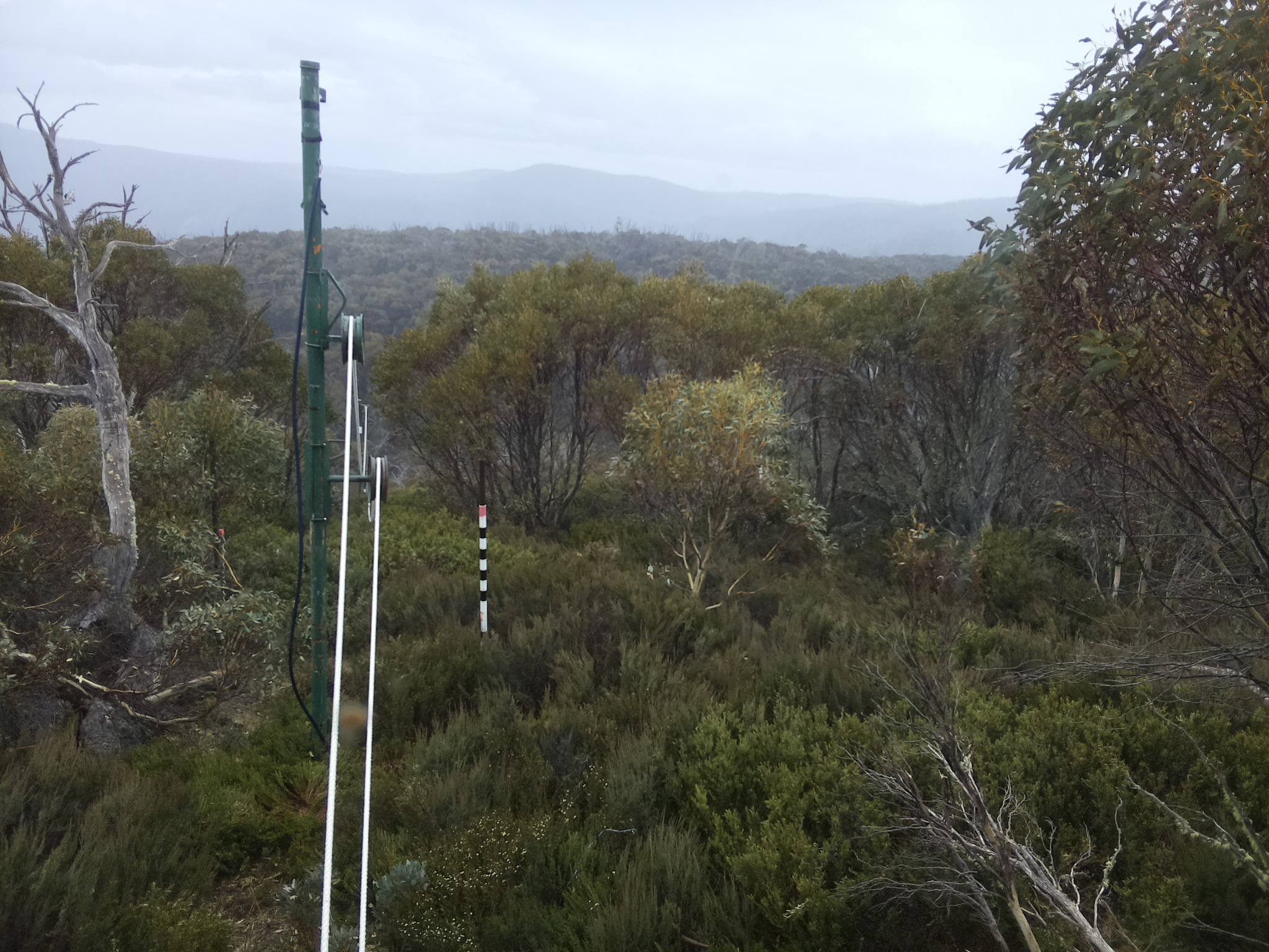 Bogong Web Cam 2:30pm Friday 31st of October 2025