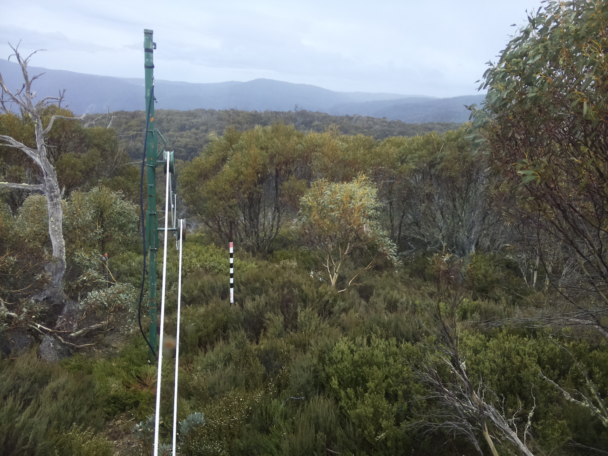 Bogong Web Cam 2:40pm Friday 31st of October 2025