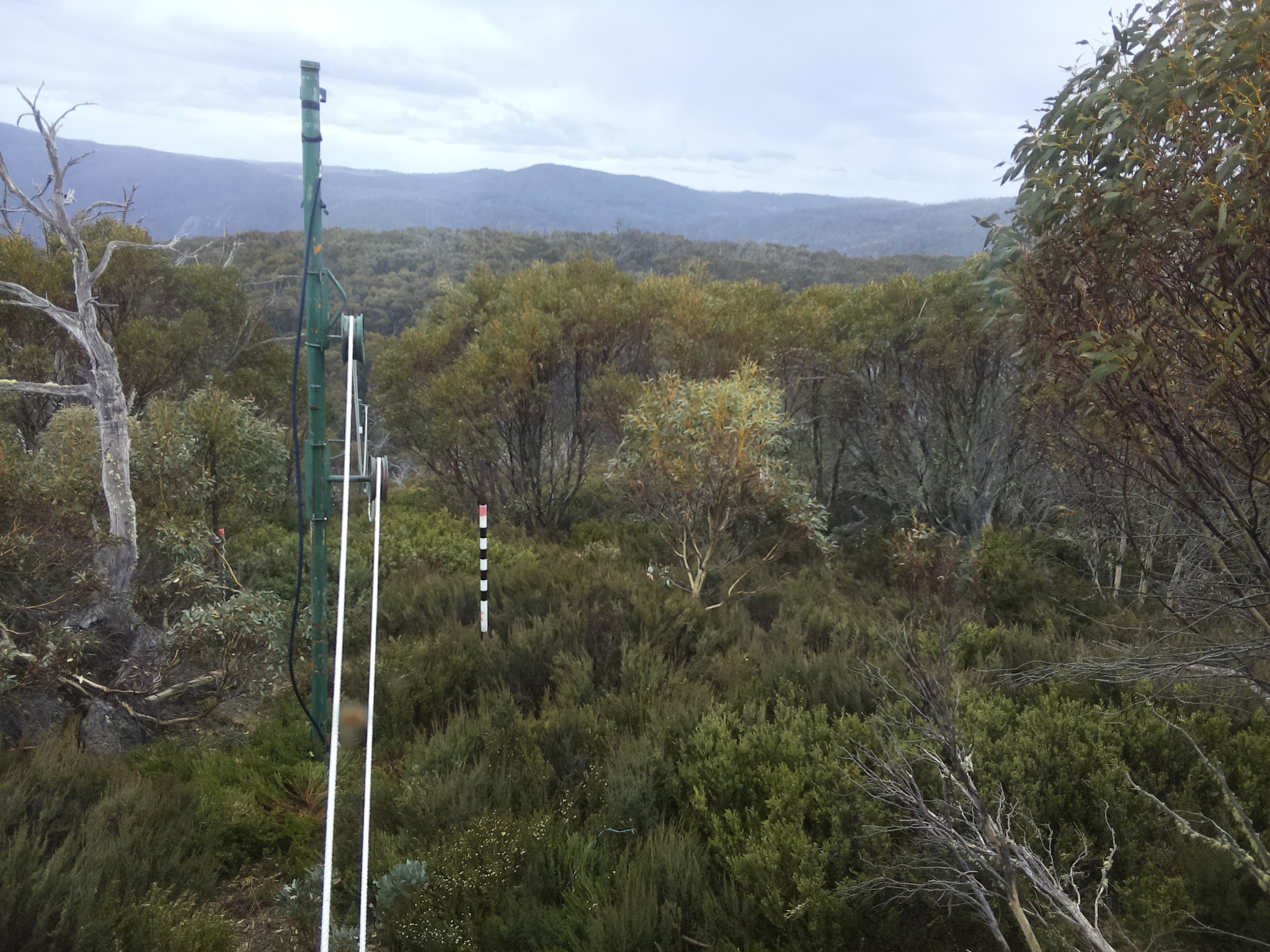 Bogong Web Cam 2:50pm Friday 31st of October 2025