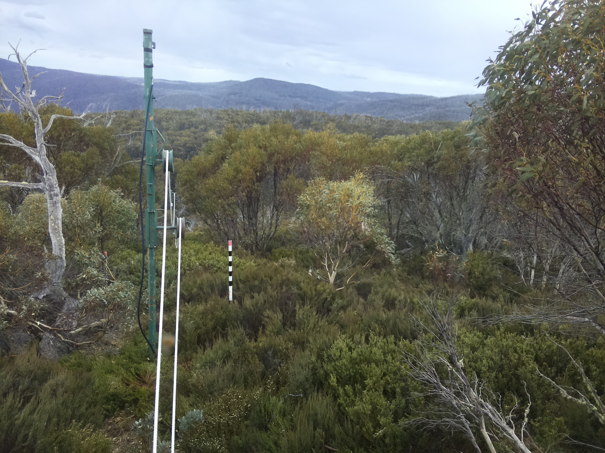 Bogong Web Cam 3:00pm Friday 31st of October 2025