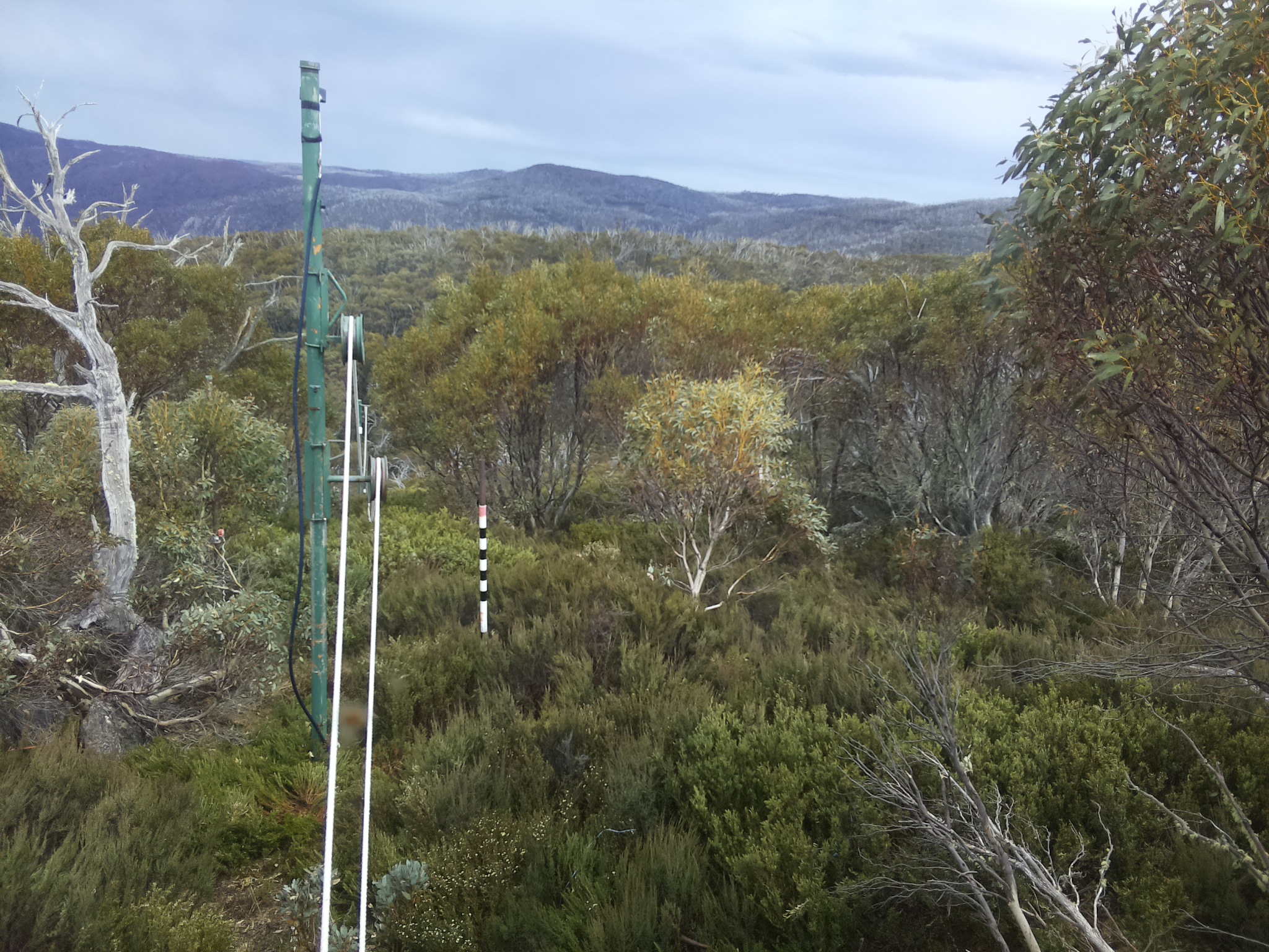 Bogong Web Cam 3:10pm Friday 31st of October 2025
