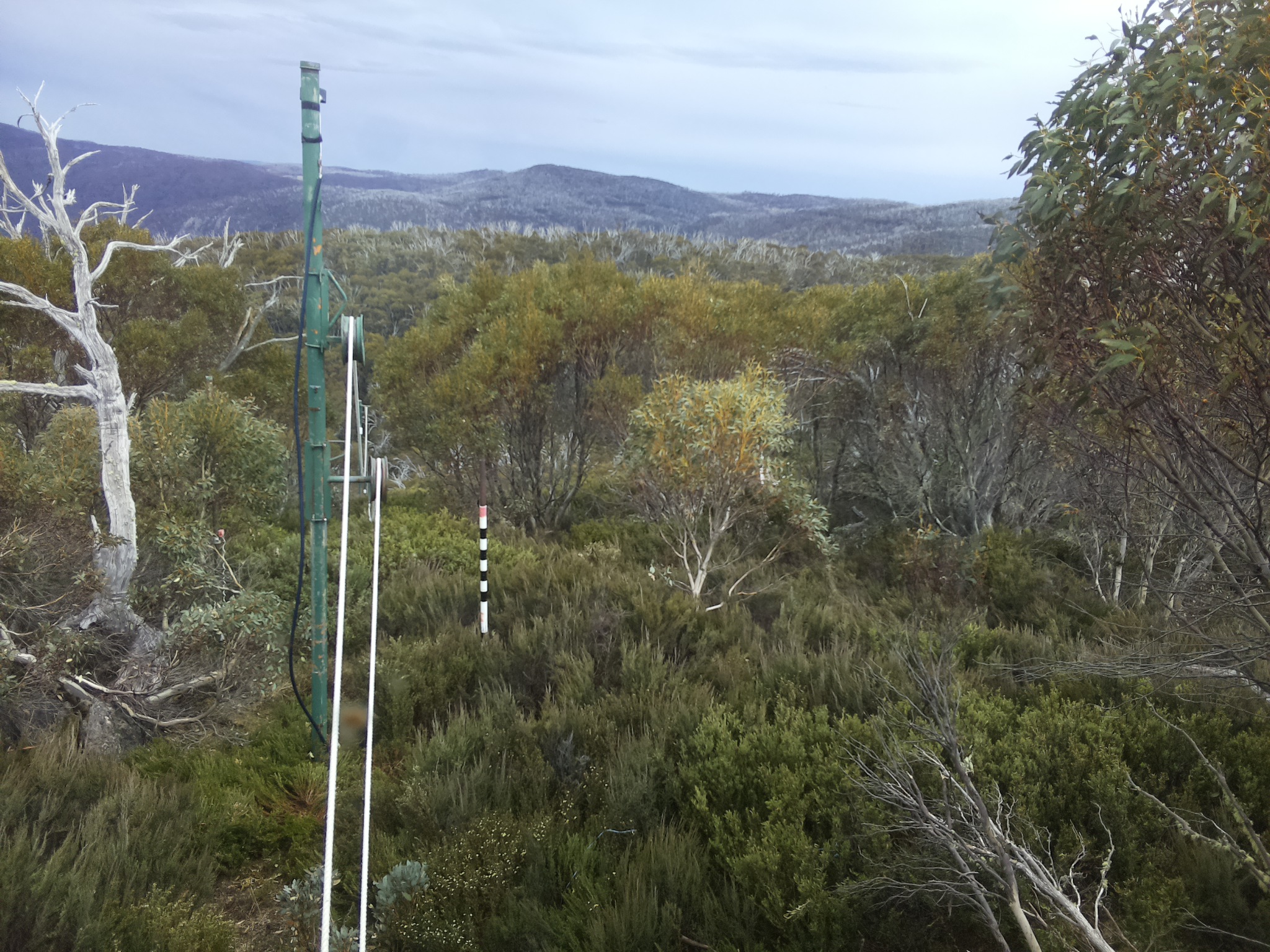 Bogong Web Cam 3:20pm Friday 31st of October 2025