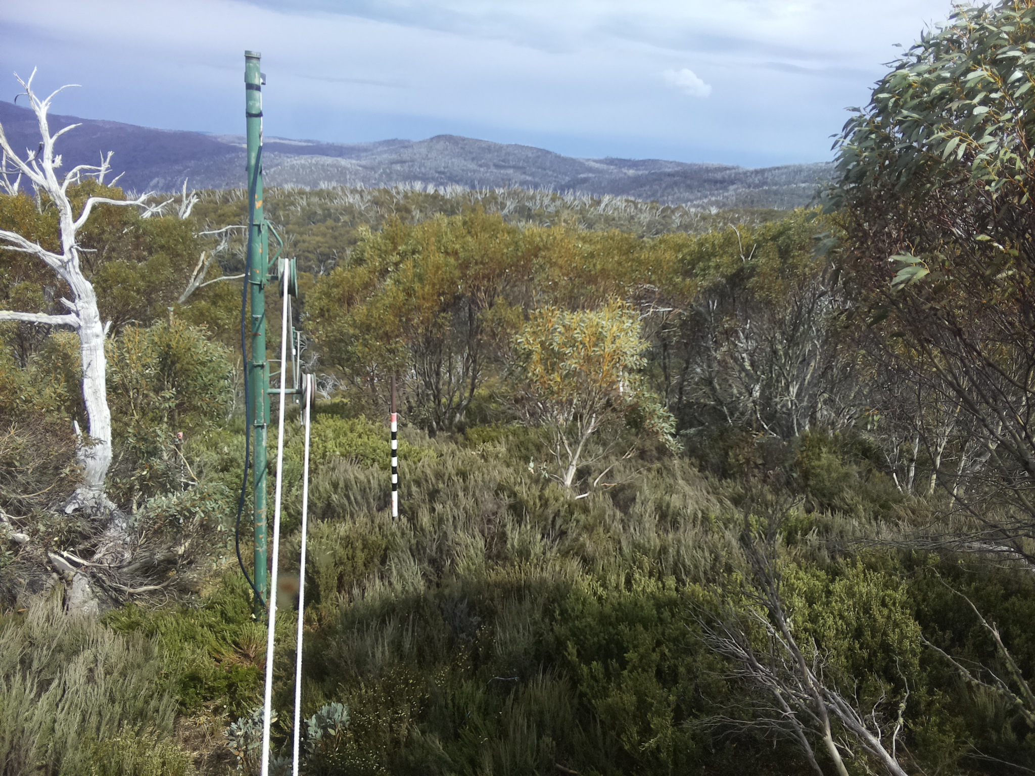 Bogong Web Cam 3:30pm Friday 31st of October 2025
