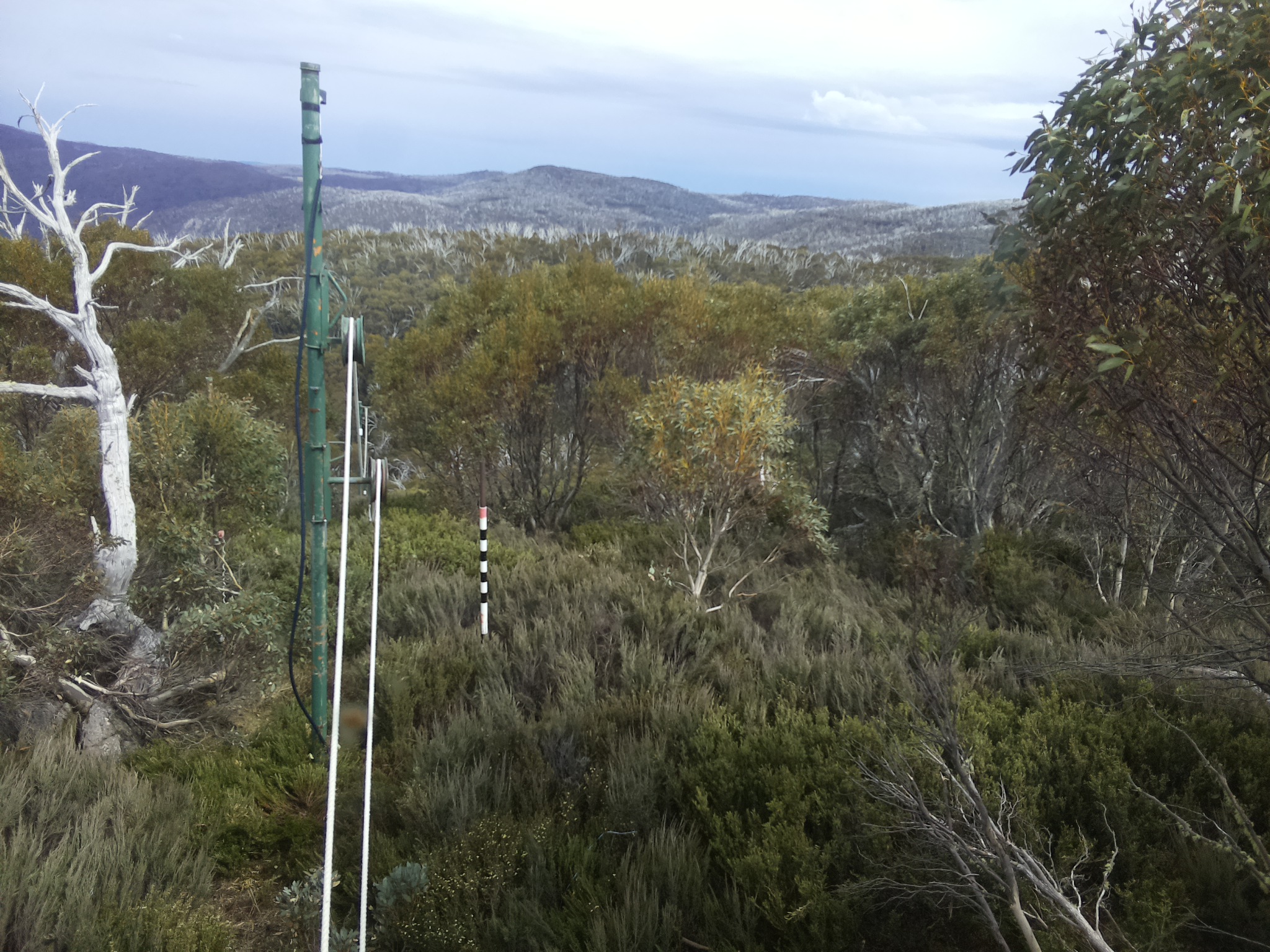 Bogong Web Cam 3:40pm Friday 31st of October 2025