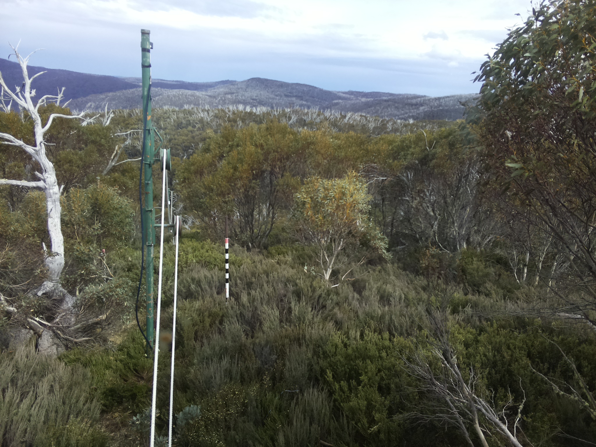 Bogong Web Cam 3:50pm Friday 31st of October 2025