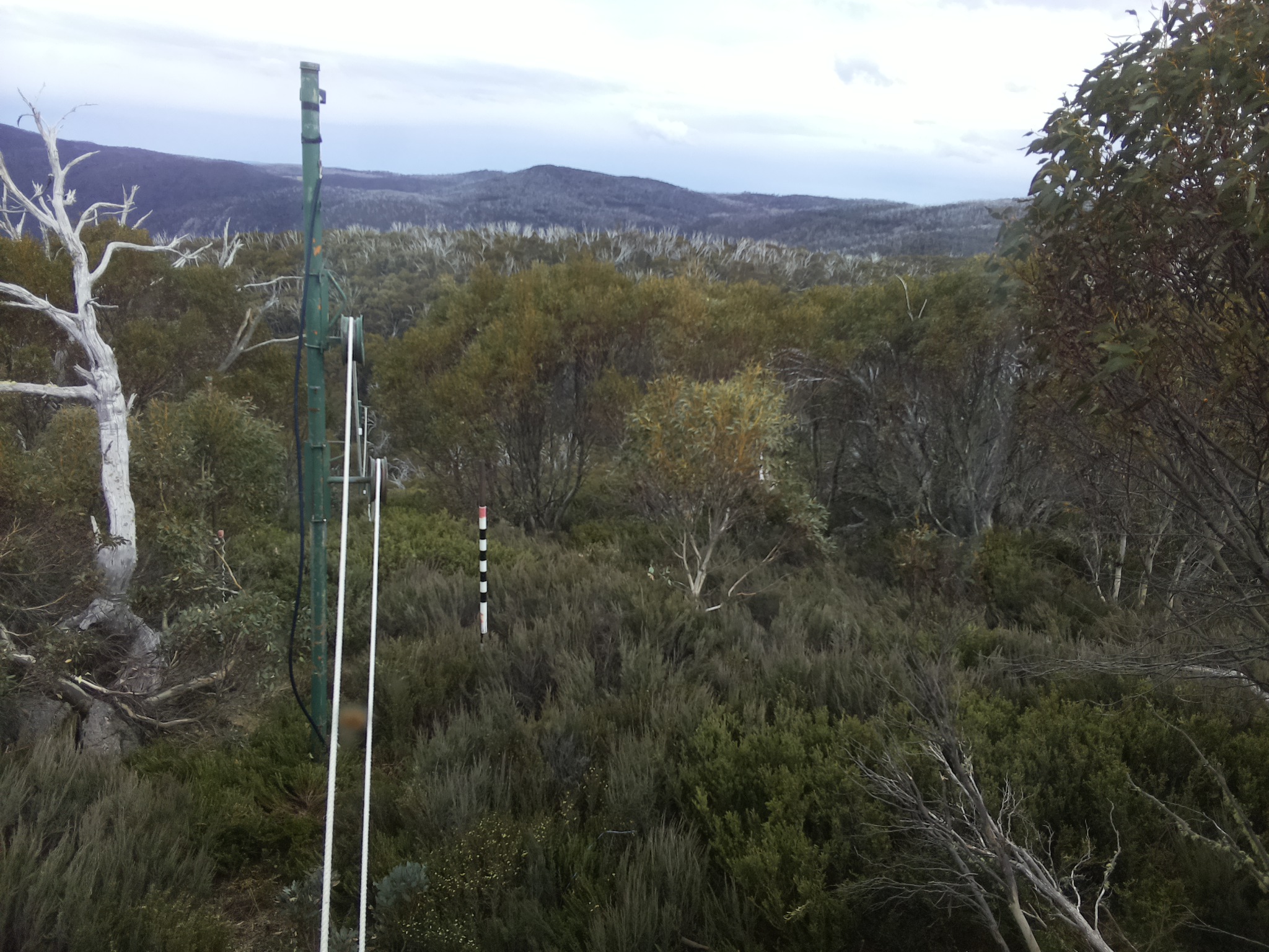 Bogong Web Cam 4:00pm Friday 31st of October 2025