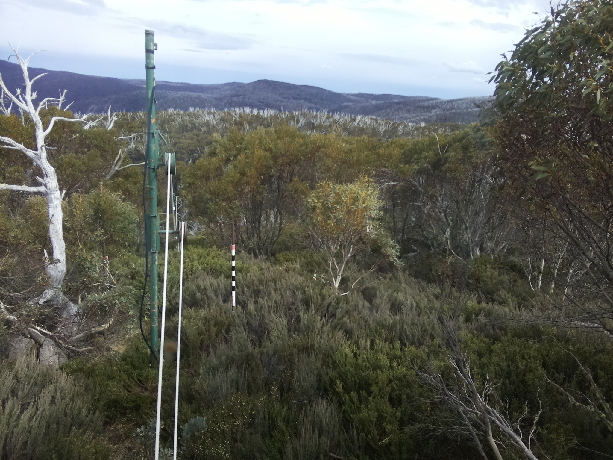 Bogong Web Cam 4:10pm Friday 31st of October 2025