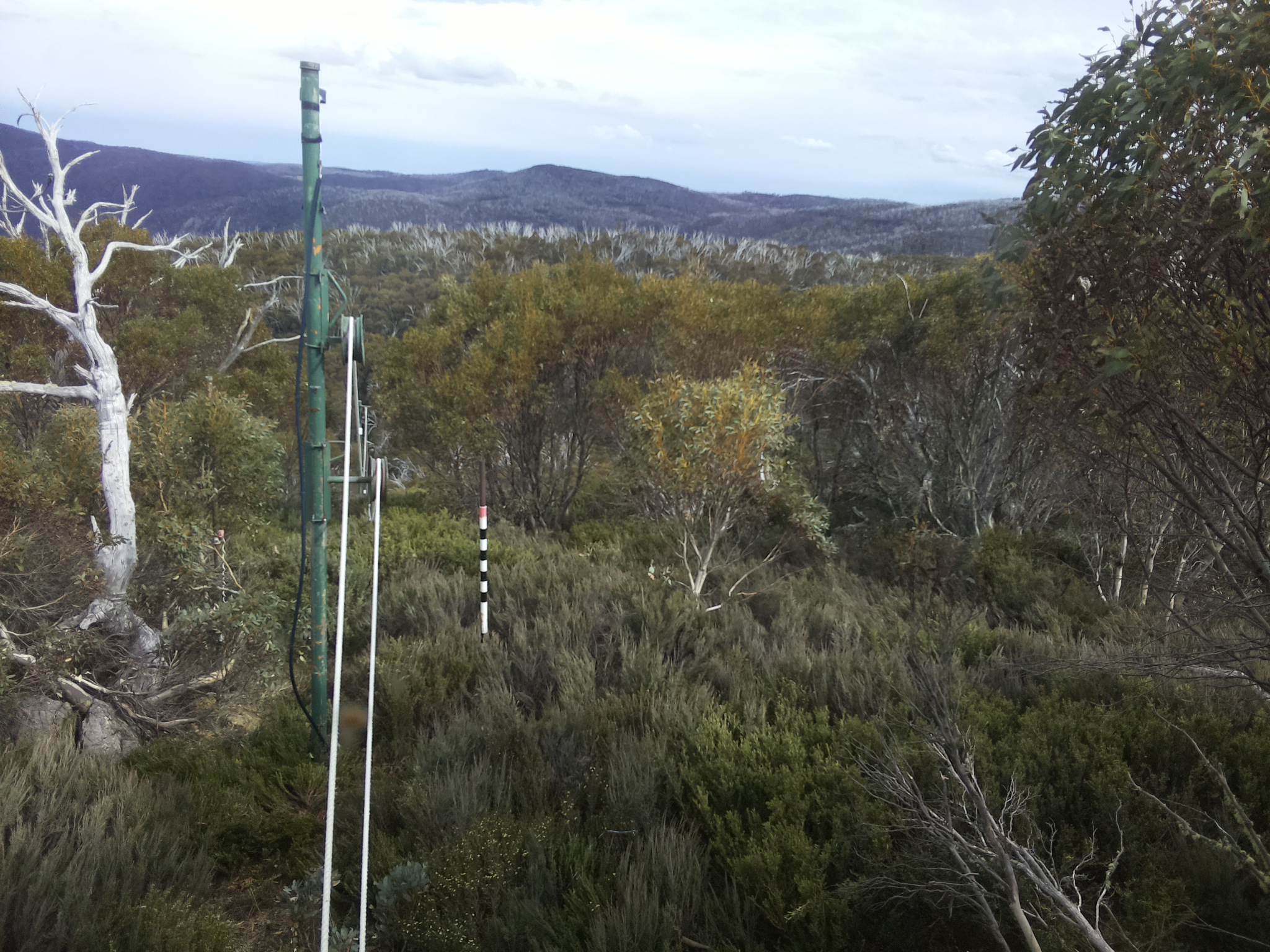 Bogong Web Cam 4:20pm Friday 31st of October 2025