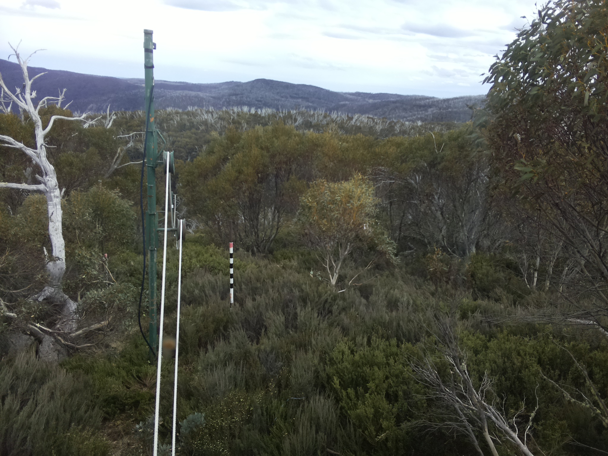 Bogong Web Cam 4:30pm Friday 31st of October 2025