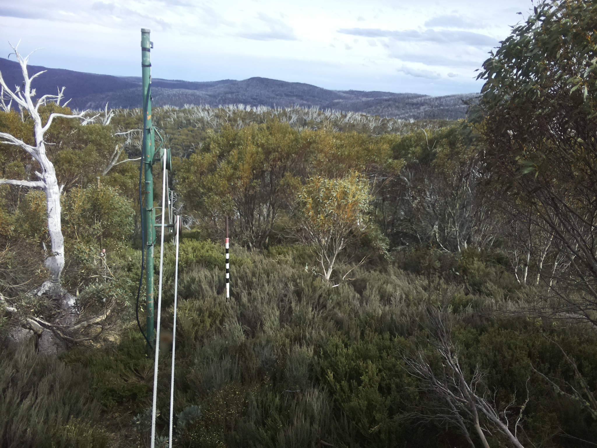 Bogong Web Cam 4:40pm Friday 31st of October 2025