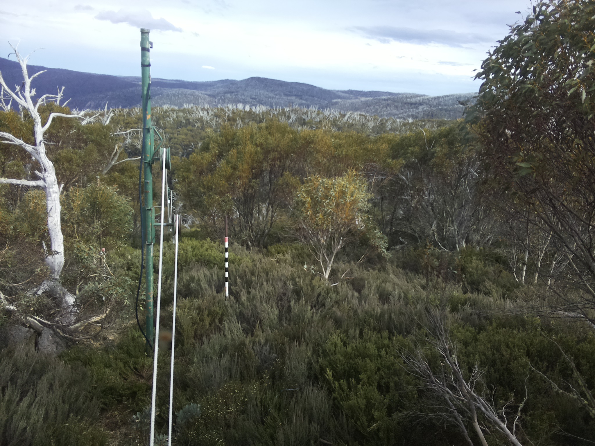 Bogong Web Cam 4:50pm Friday 31st of October 2025
