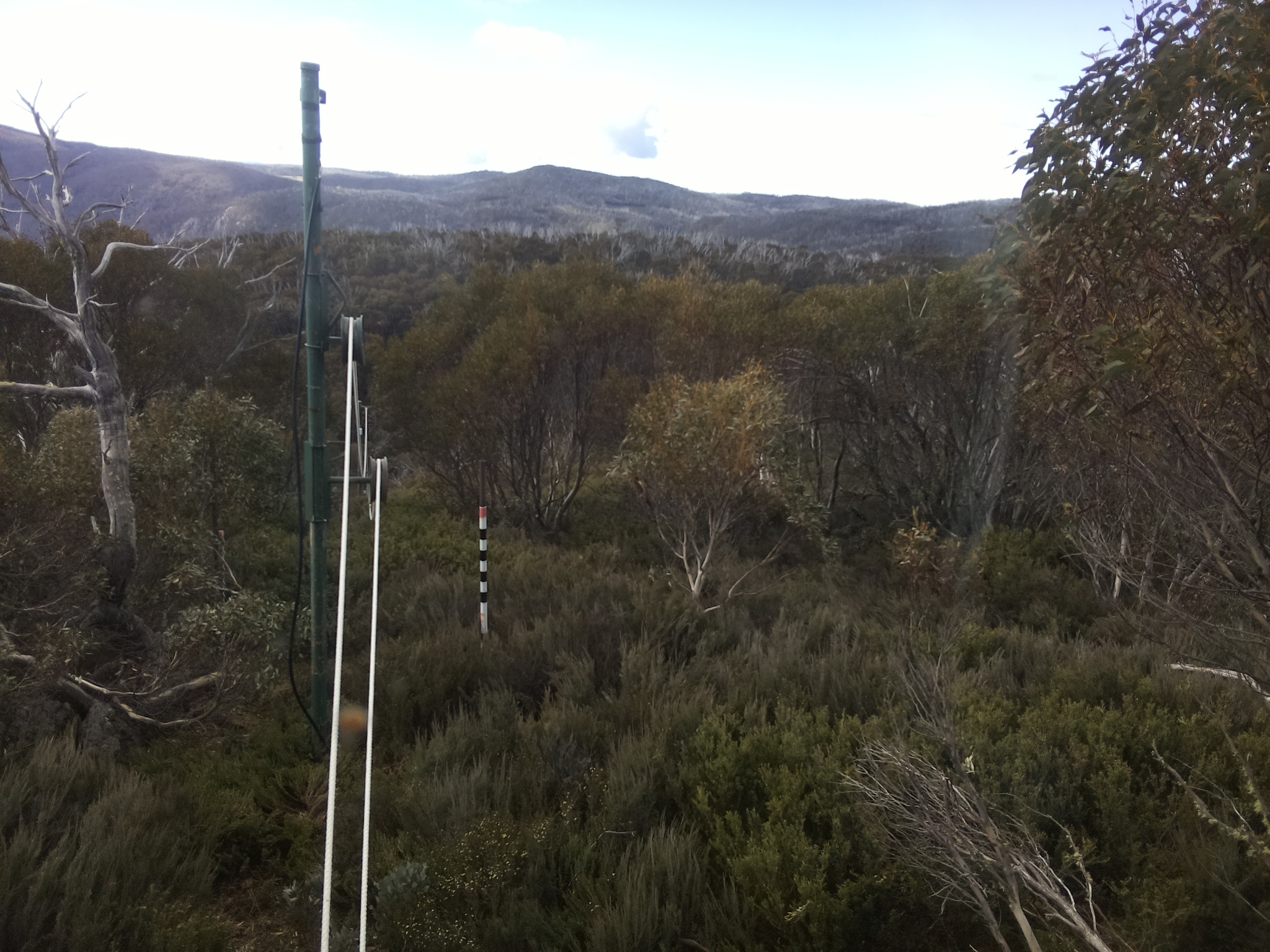 Bogong Web Cam 9:50am Saturday 1st of November 2025