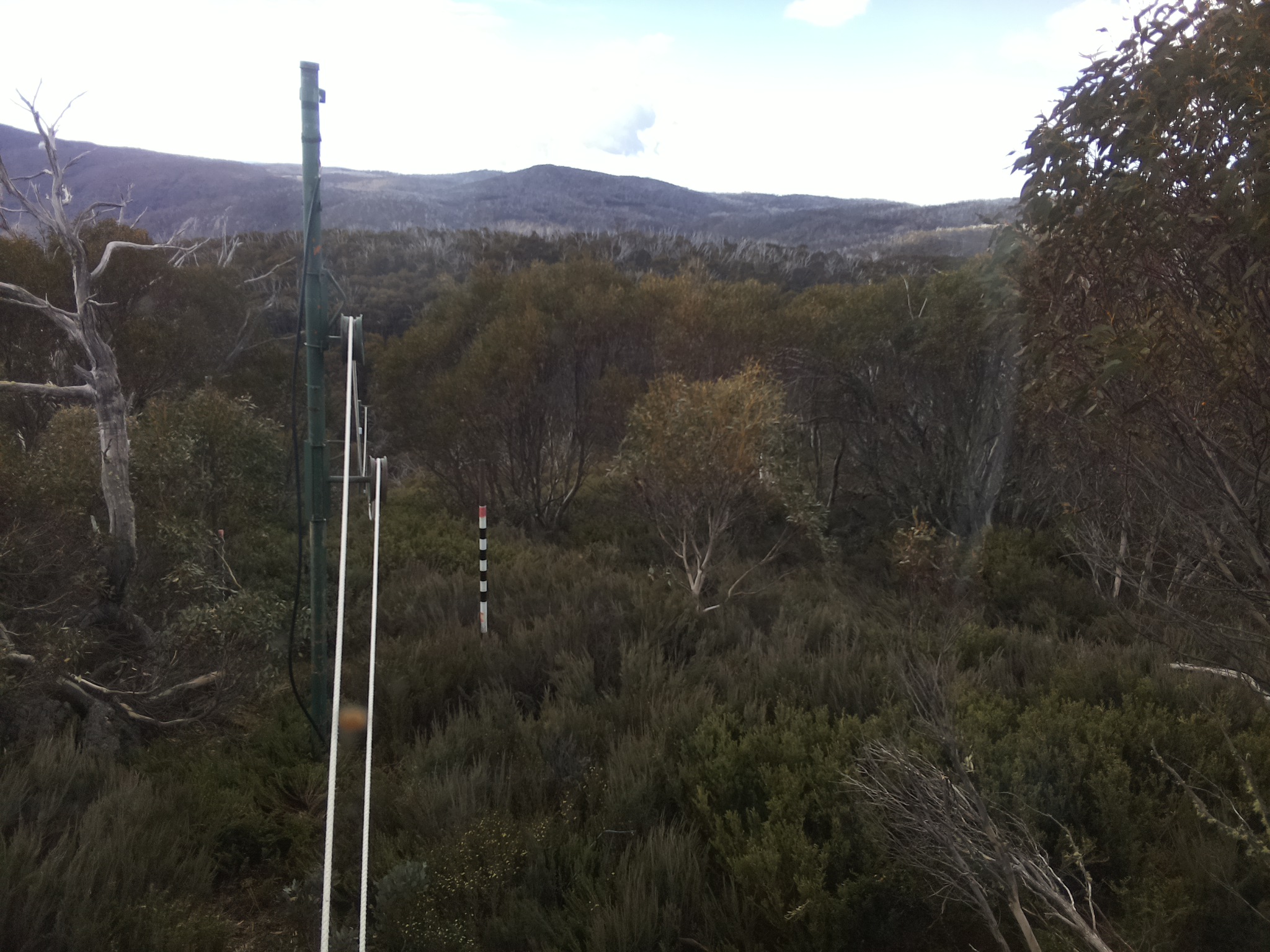 Bogong Web Cam 10:00am Saturday 1st of November 2025