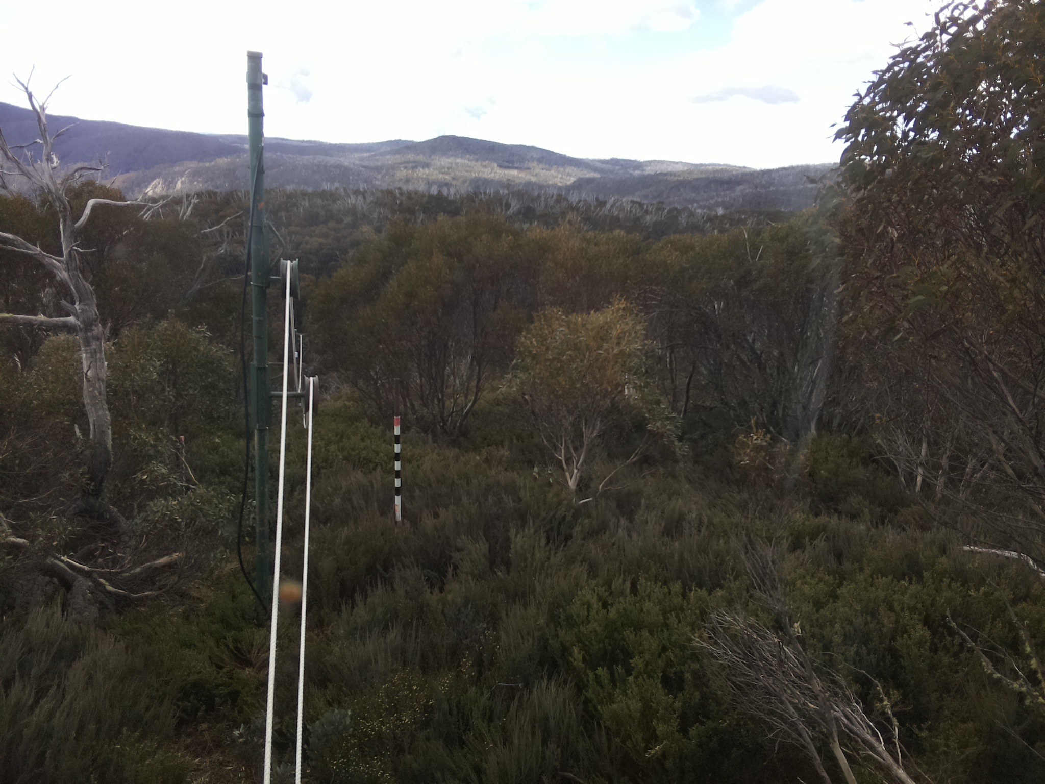 Bogong Web Cam 10:10am Saturday 1st of November 2025