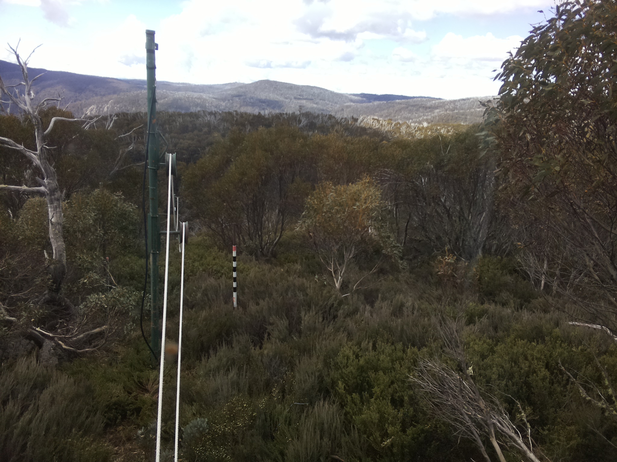 Bogong Web Cam 10:30am Saturday 1st of November 2025