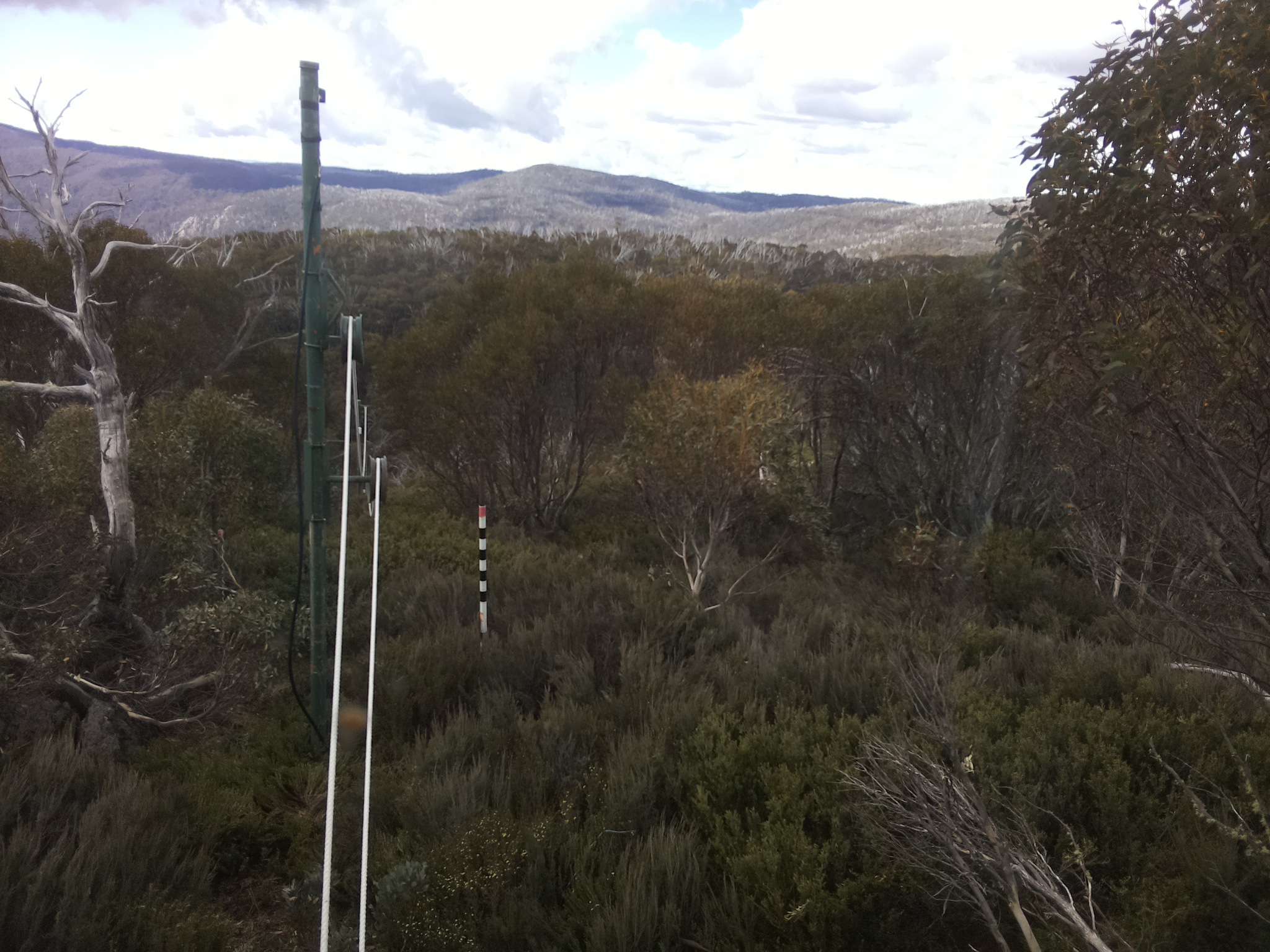 Bogong Web Cam 11:00am Saturday 1st of November 2025