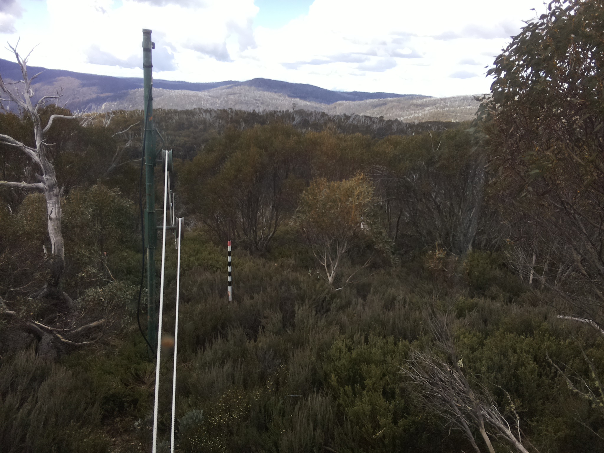 Bogong Web Cam 11:10am Saturday 1st of November 2025