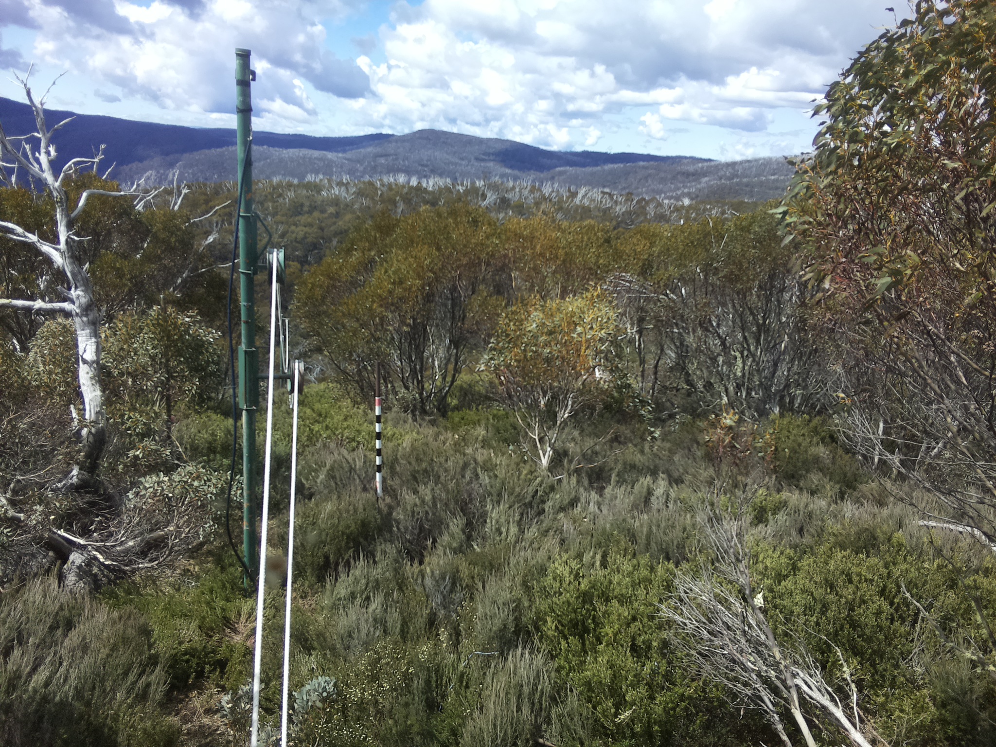 Bogong Web Cam 11:20am Saturday 1st of November 2025