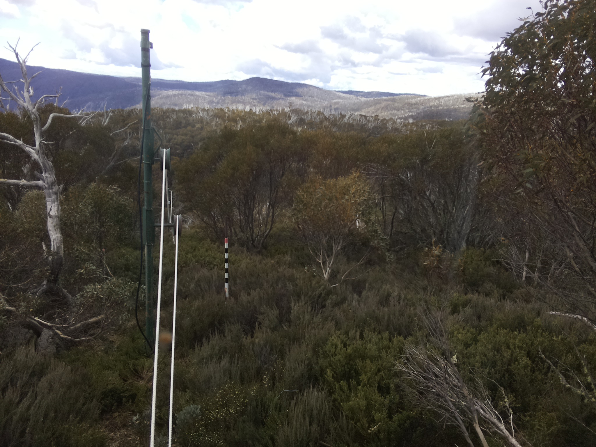 Bogong Web Cam 11:30am Saturday 1st of November 2025