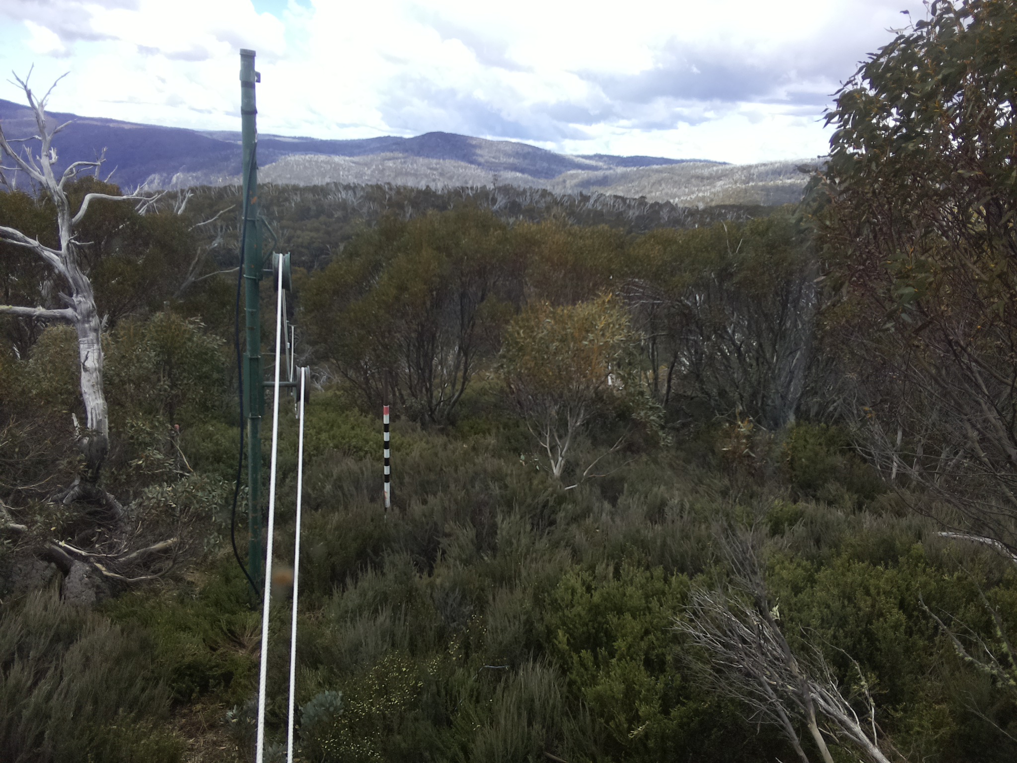 Bogong Web Cam 11:40am Saturday 1st of November 2025