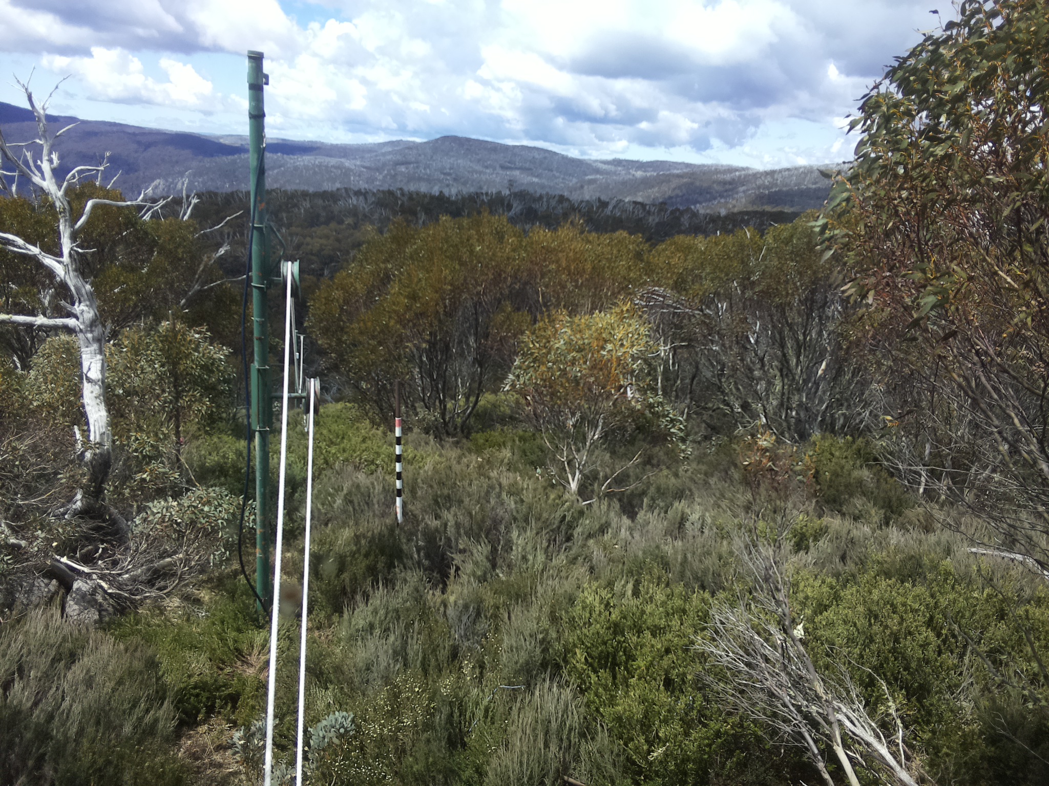 Bogong Web Cam 11:50am Saturday 1st of November 2025