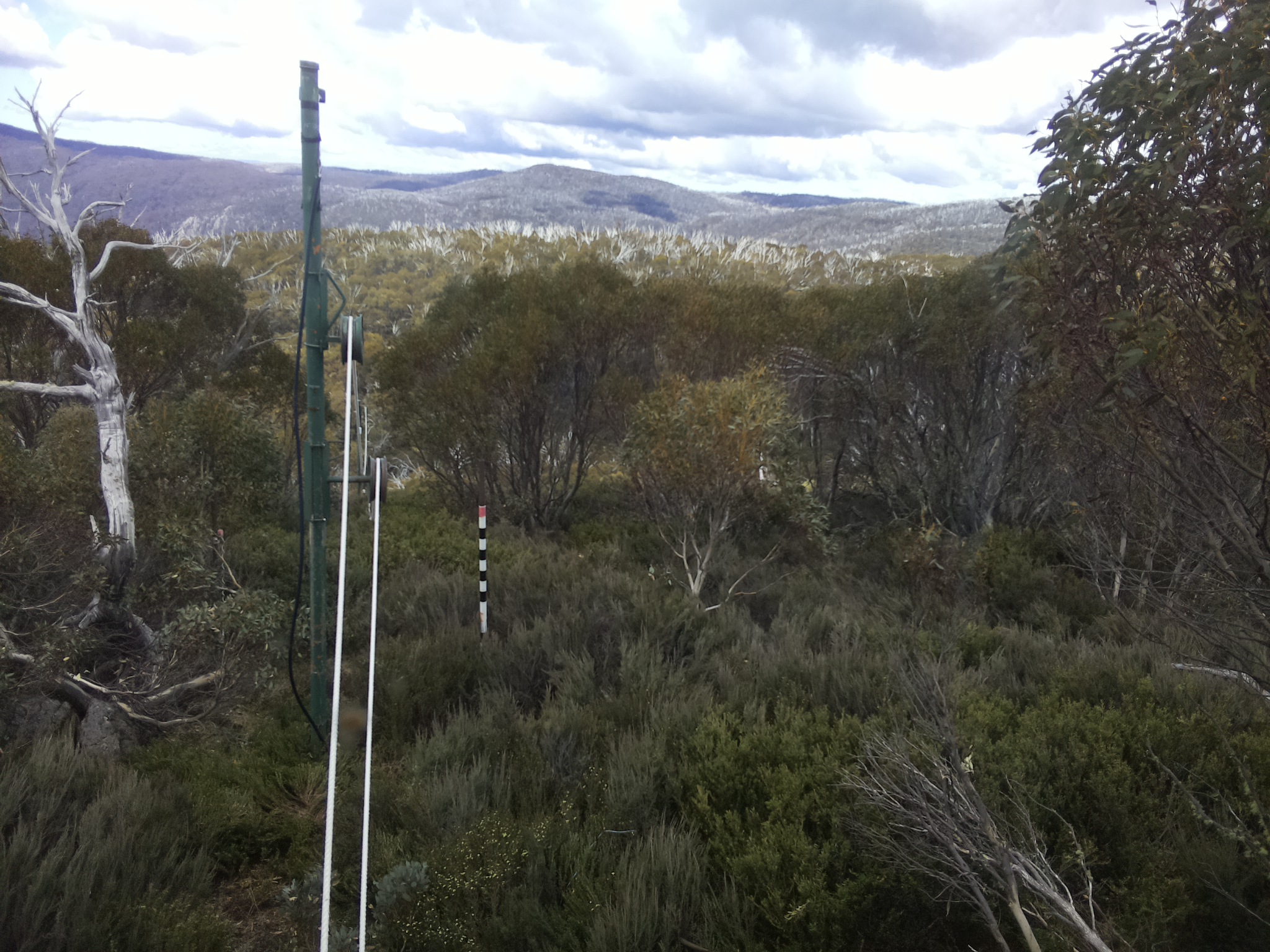 Bogong Web Cam 12:10pm Saturday 1st of November 2025
