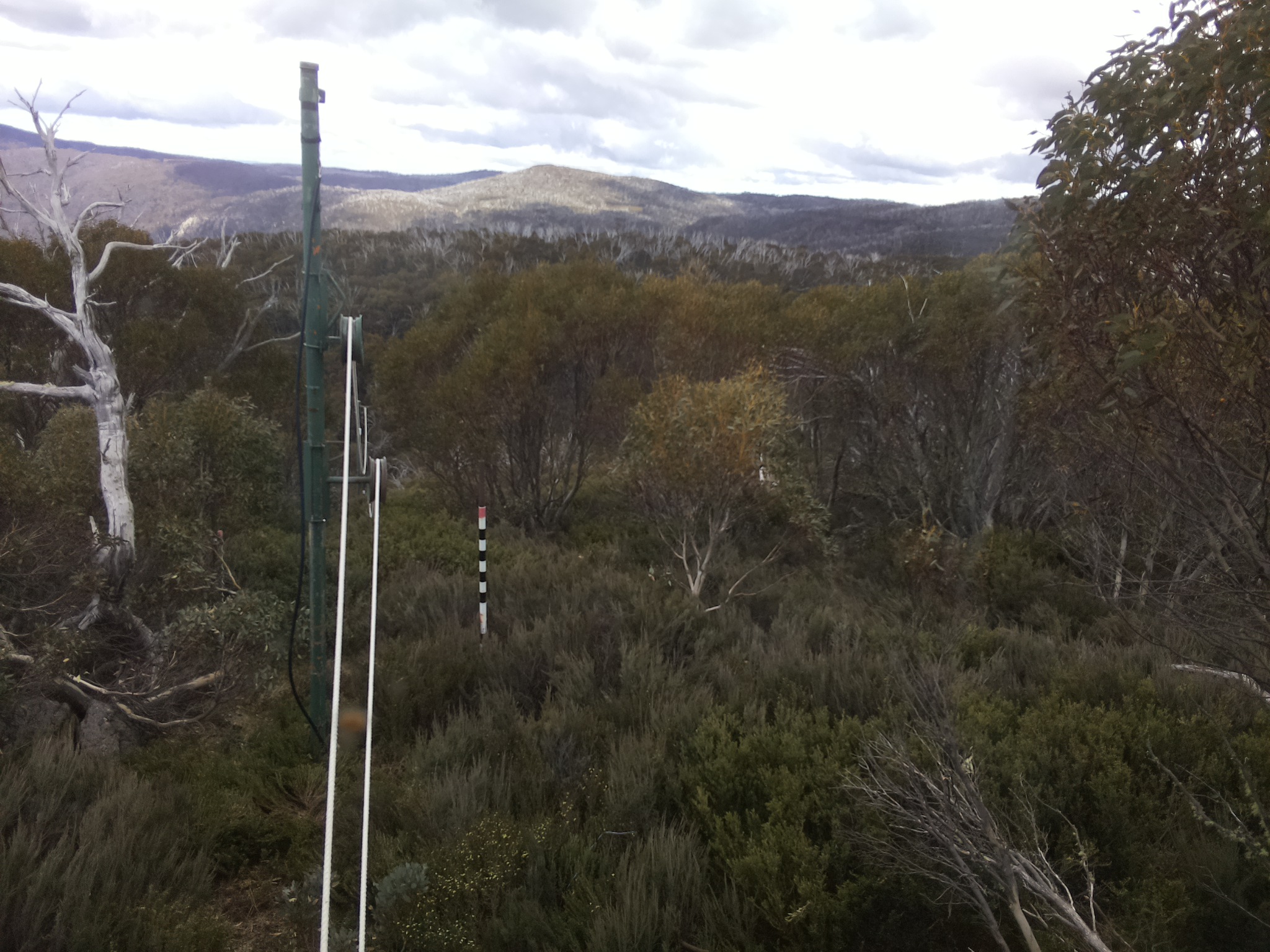 Bogong Web Cam 12:40pm Saturday 1st of November 2025