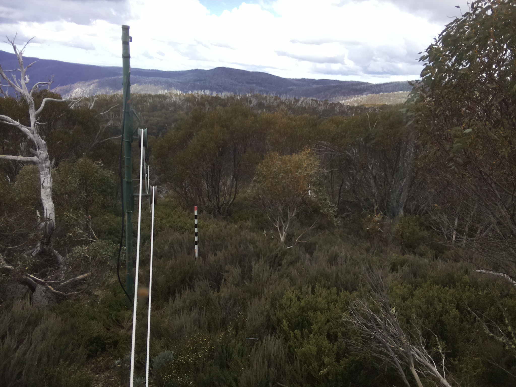 Bogong Web Cam 1:00pm Saturday 1st of November 2025