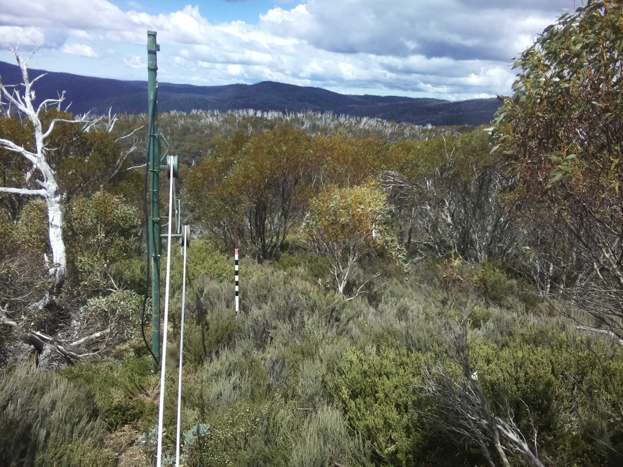 Bogong Web Cam 1:10pm Saturday 1st of November 2025