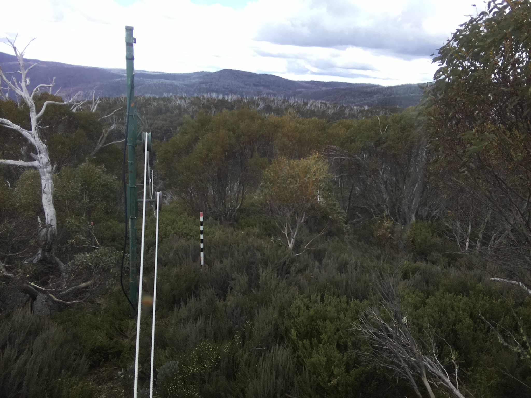 Bogong Web Cam 1:20pm Saturday 1st of November 2025