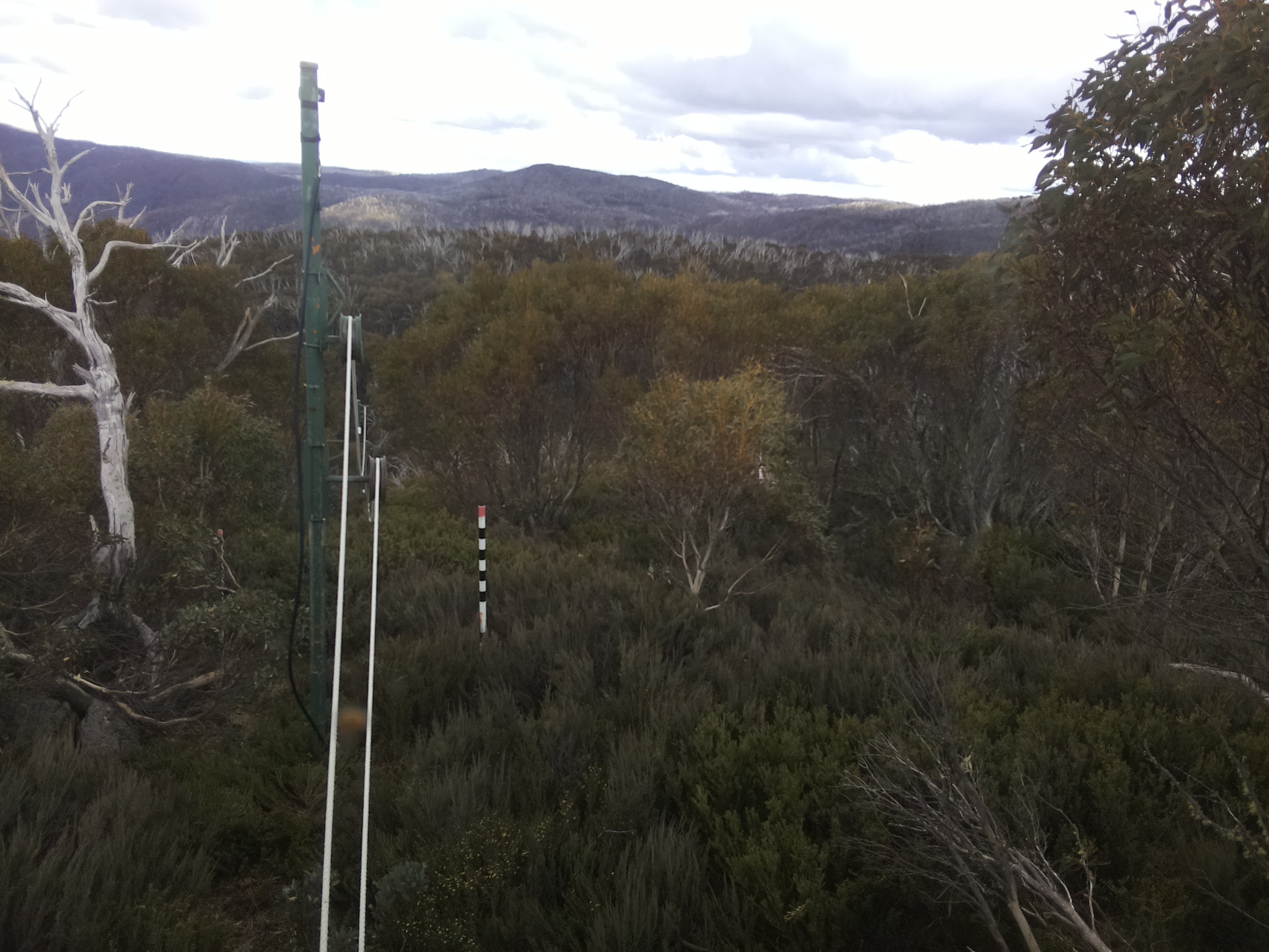 Bogong Web Cam 1:30pm Saturday 1st of November 2025