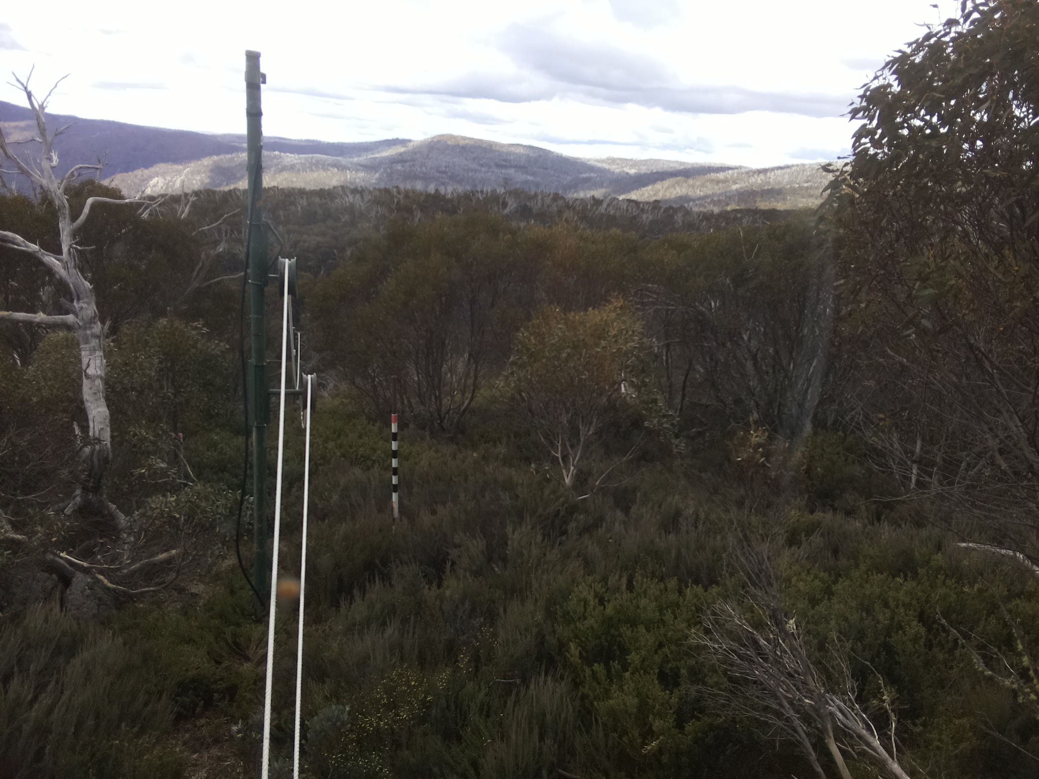 Bogong Web Cam 1:40pm Saturday 1st of November 2025