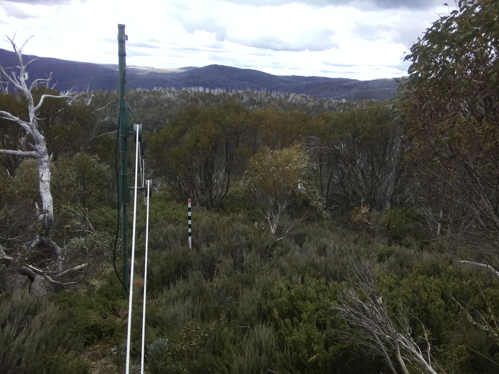 Bogong Web Cam 2:00pm Saturday 1st of November 2025