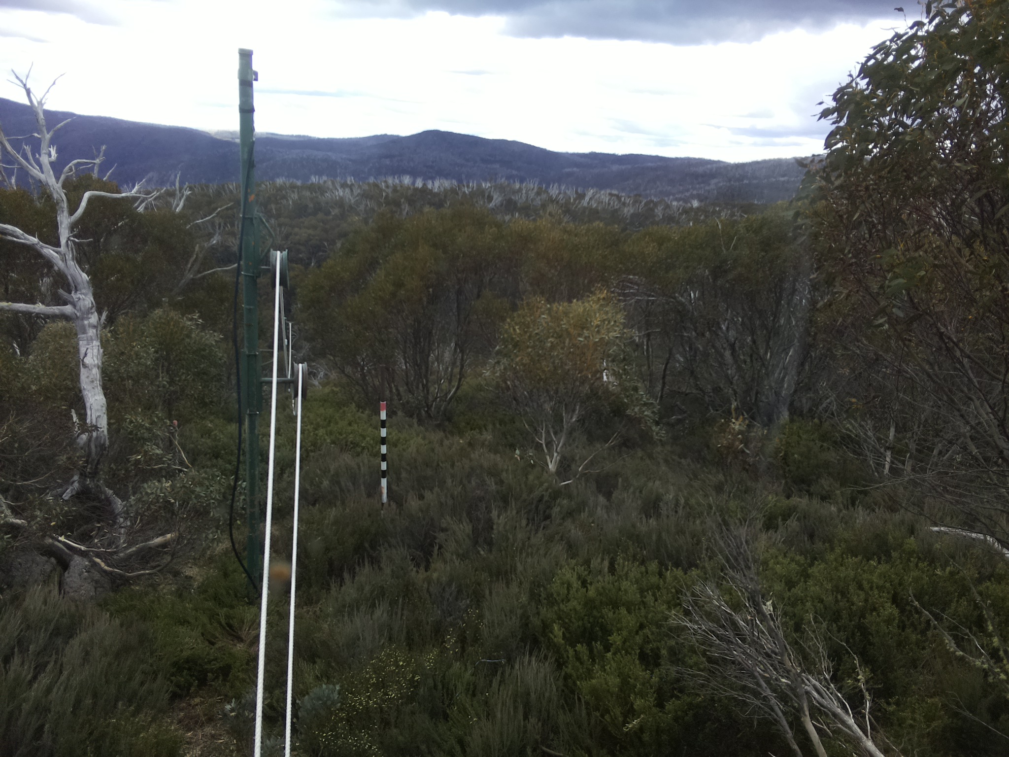 Bogong Web Cam 2:10pm Saturday 1st of November 2025