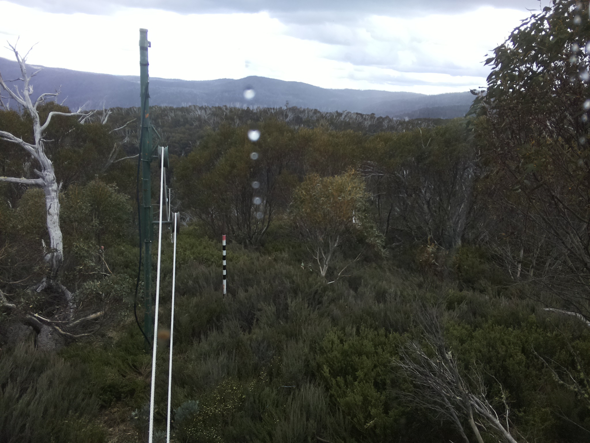 Bogong Web Cam 2:20pm Saturday 1st of November 2025