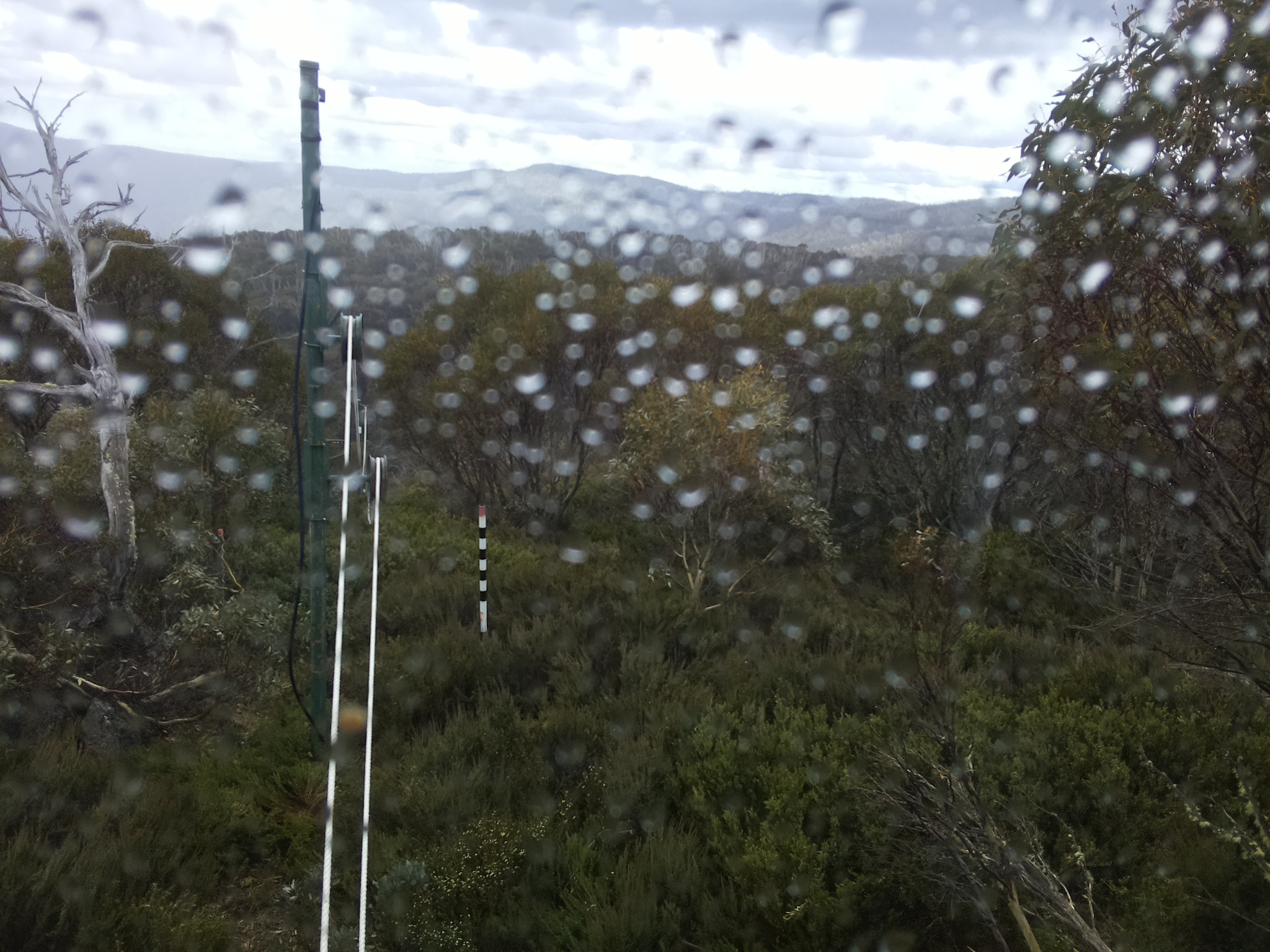 Bogong Web Cam 2:40pm Saturday 1st of November 2025