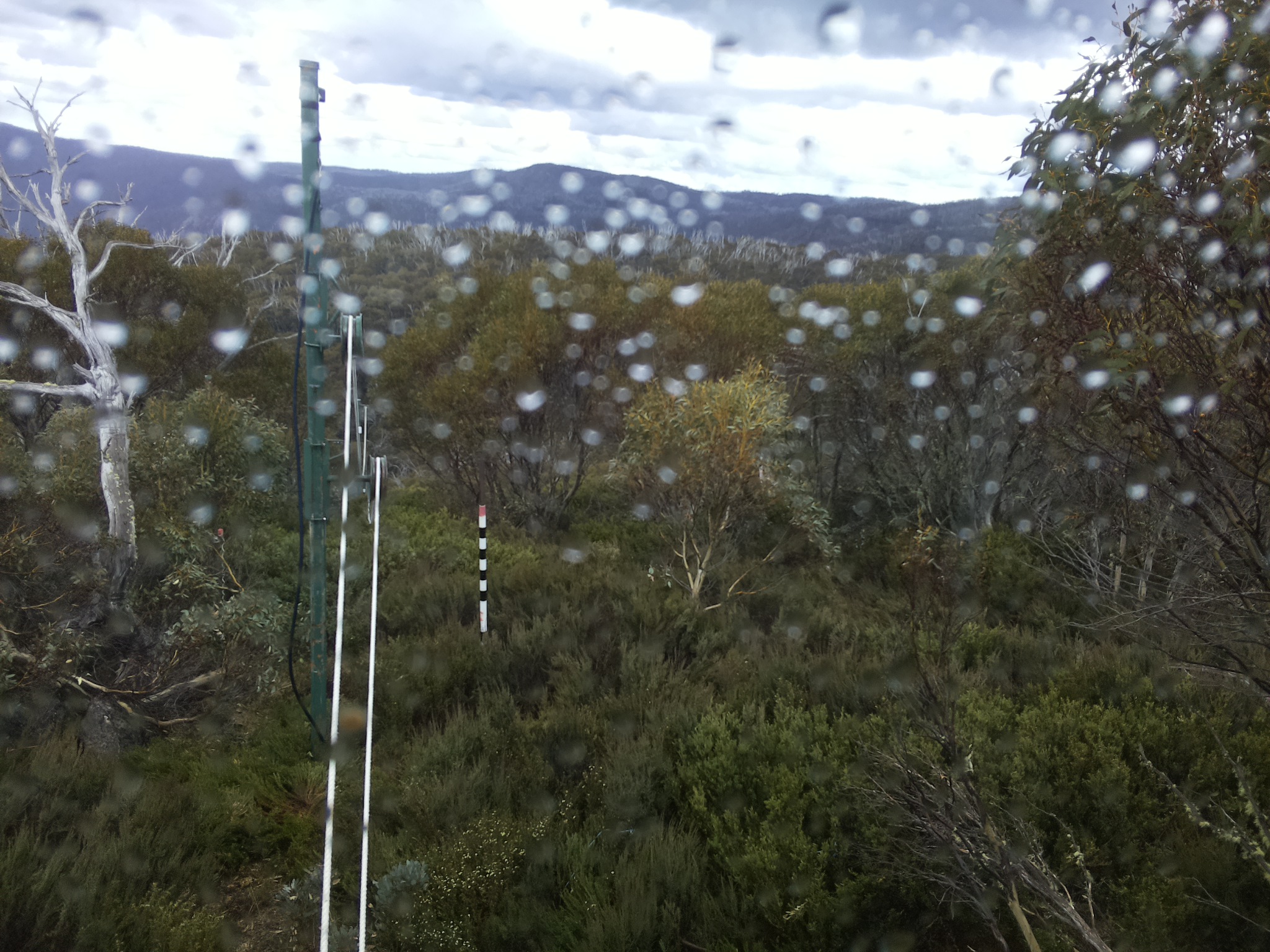 Bogong Web Cam 2:50pm Saturday 1st of November 2025