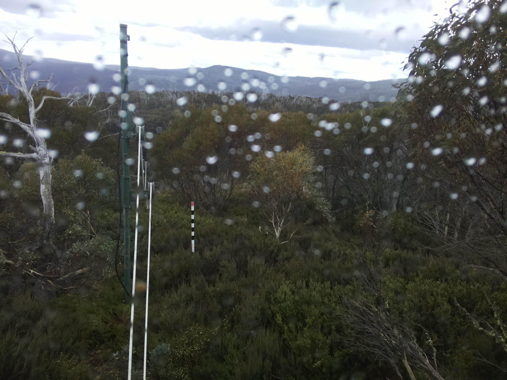 Bogong Web Cam 3:00pm Saturday 1st of November 2025