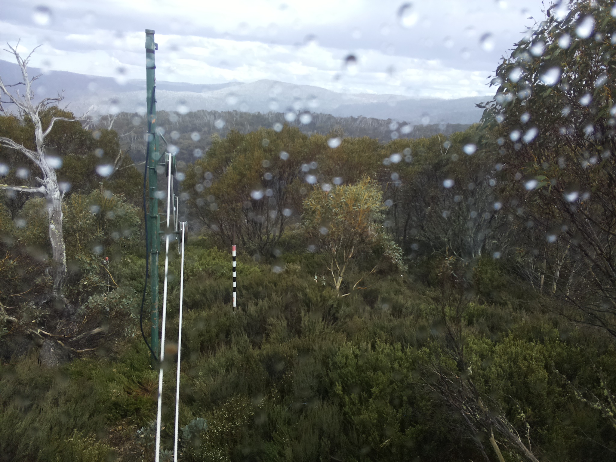 Bogong Web Cam 3:10pm Saturday 1st of November 2025